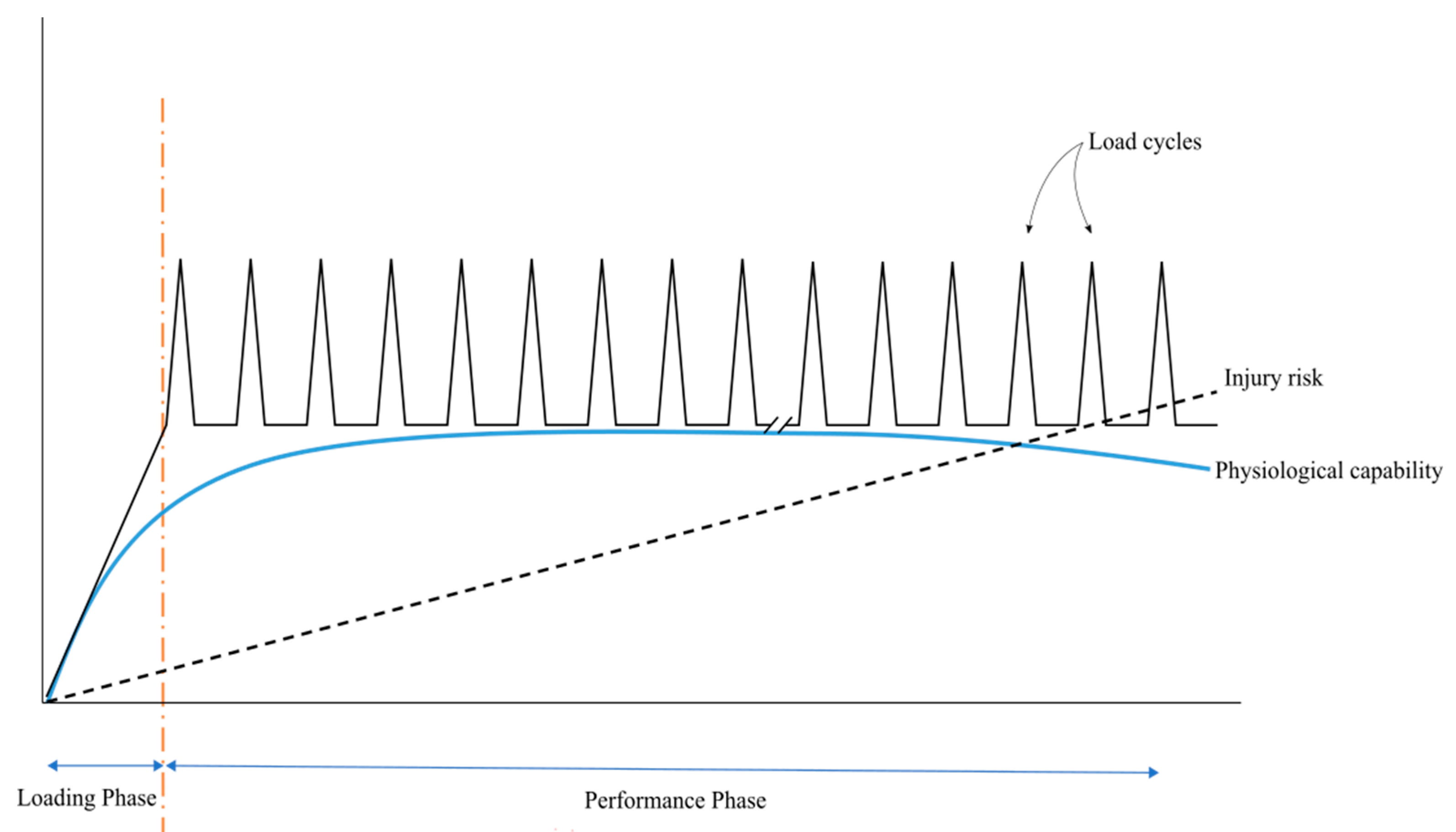 Animals 10 02032 g004