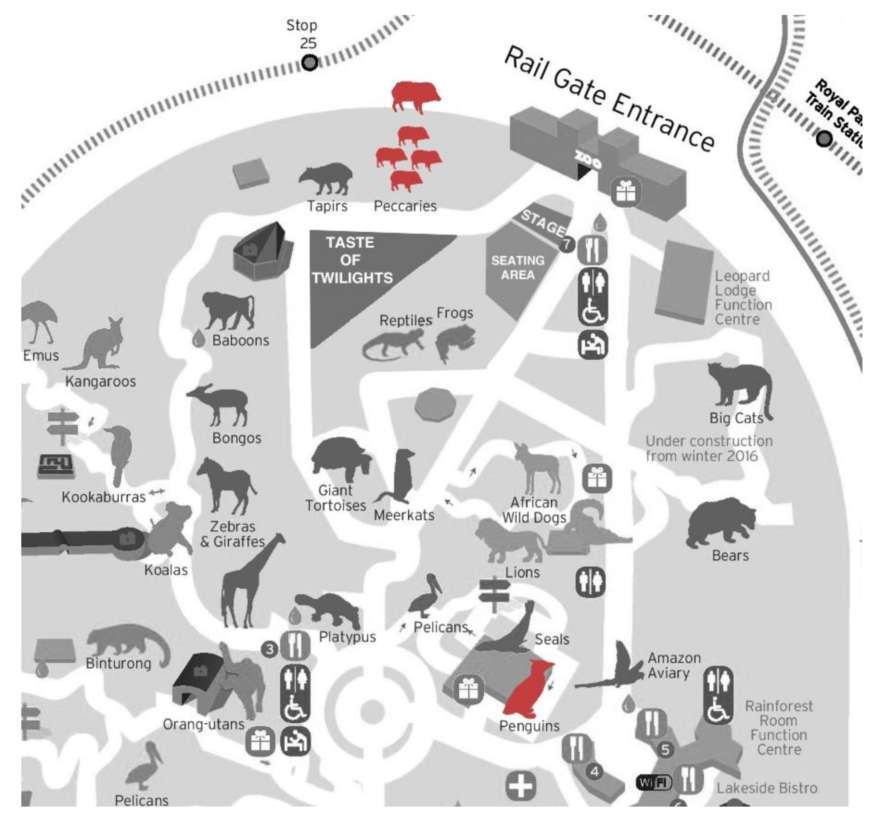 Animals 10 02035 g001