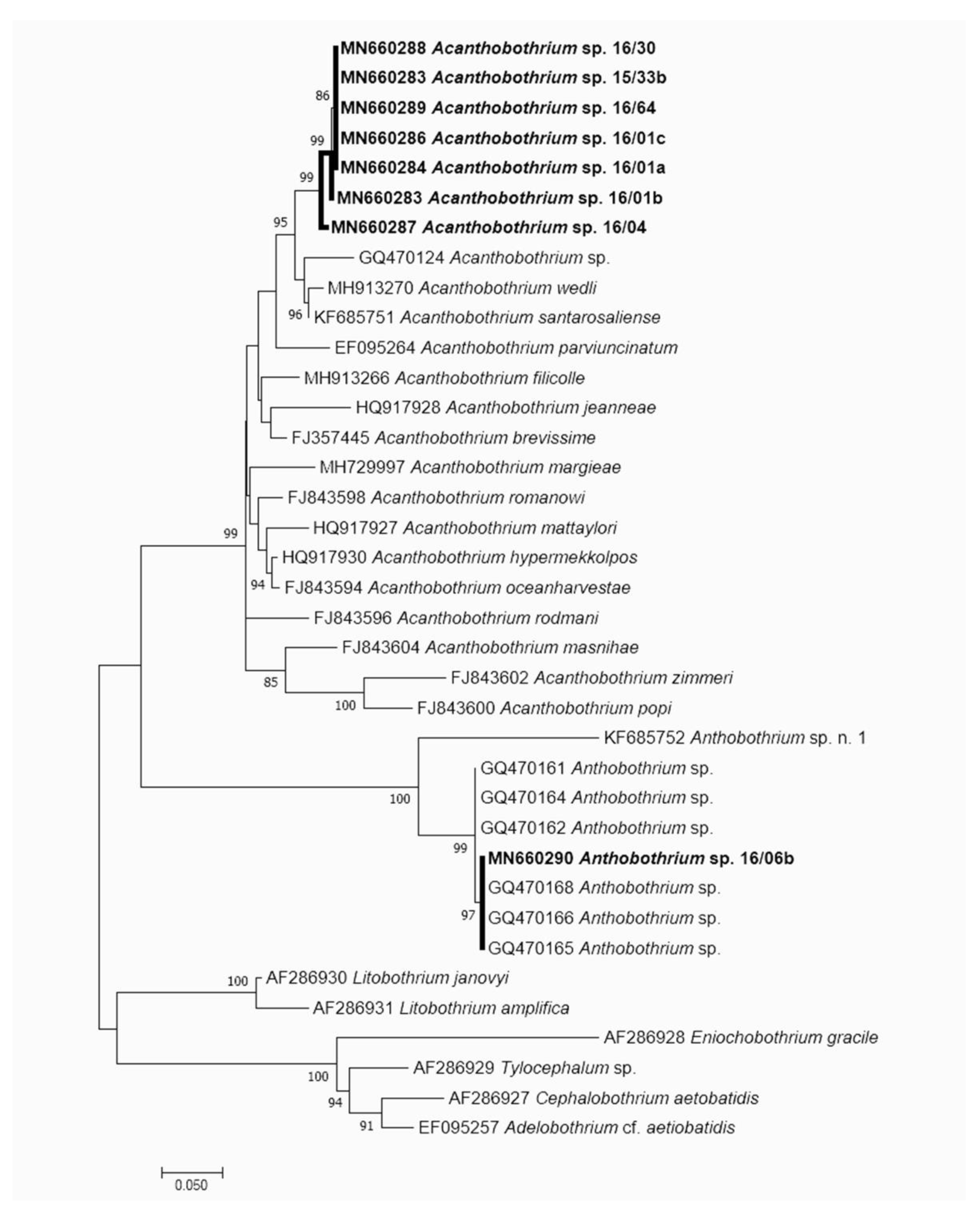 Animals 10 02038 g006