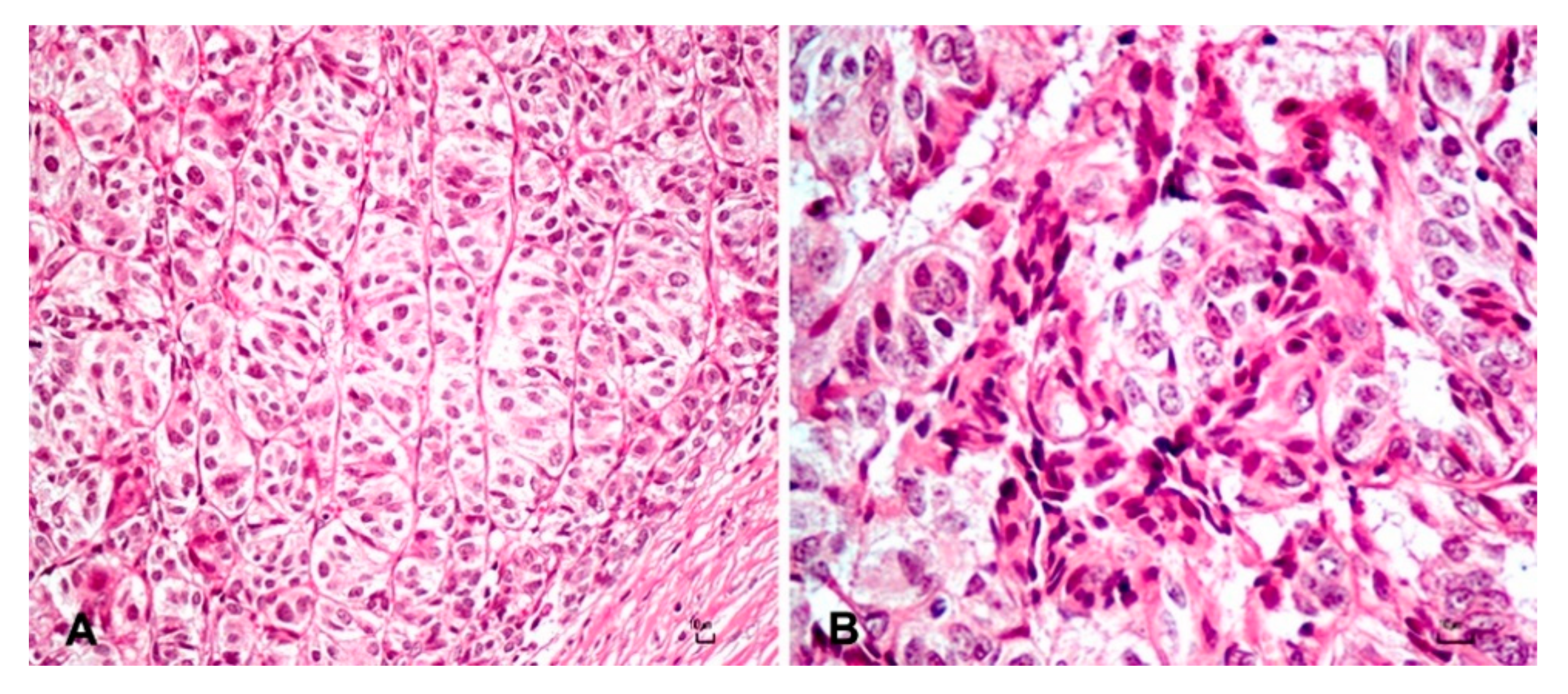 Animals 10 02039 g003