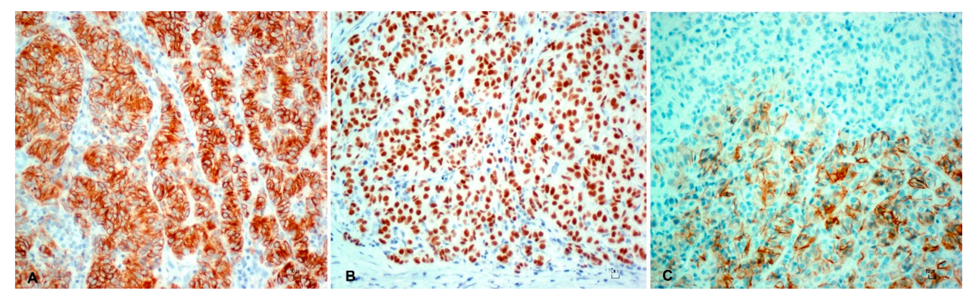 Animals 10 02039 g004