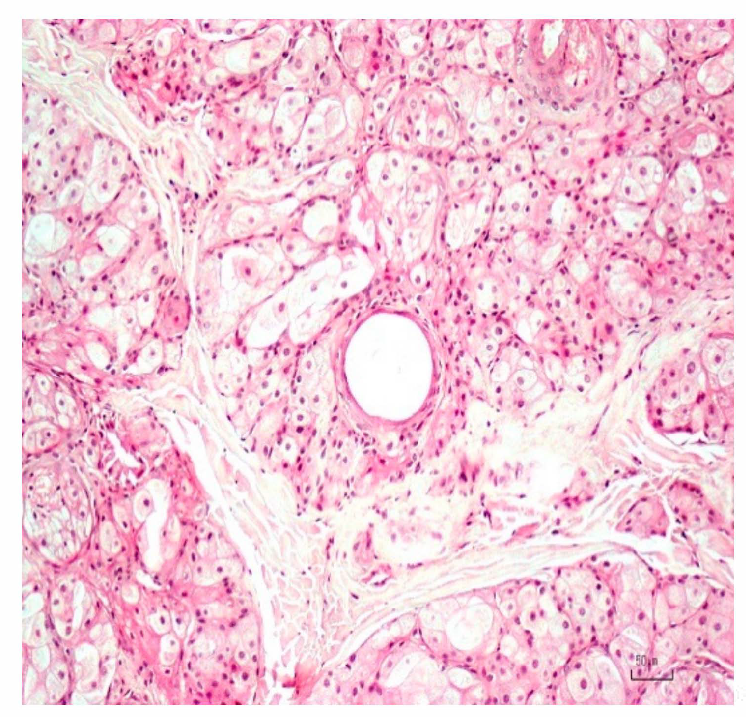 Animals 10 02039 g005