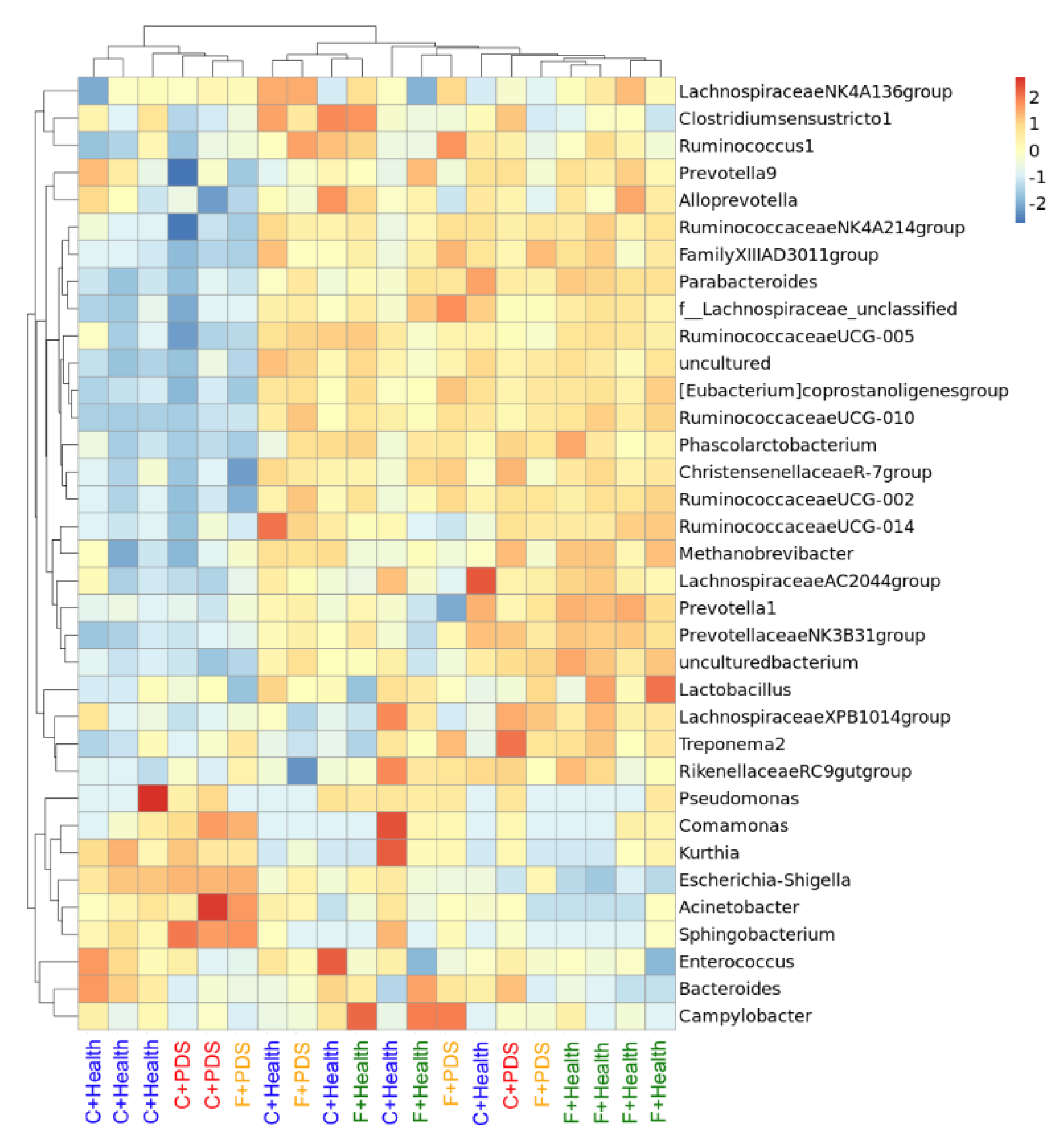 Animals 10 02044 g003