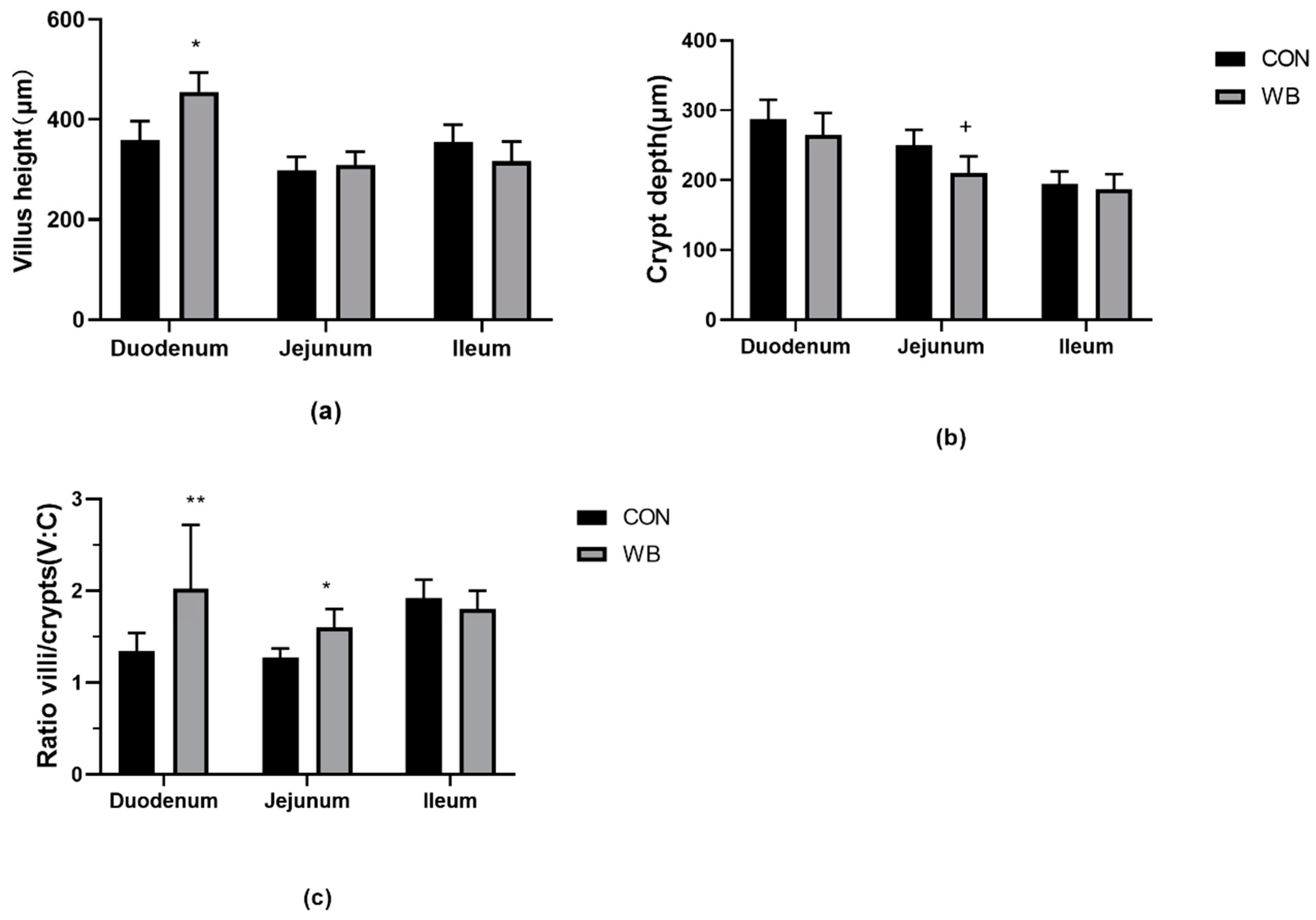Animals 10 02051 g001