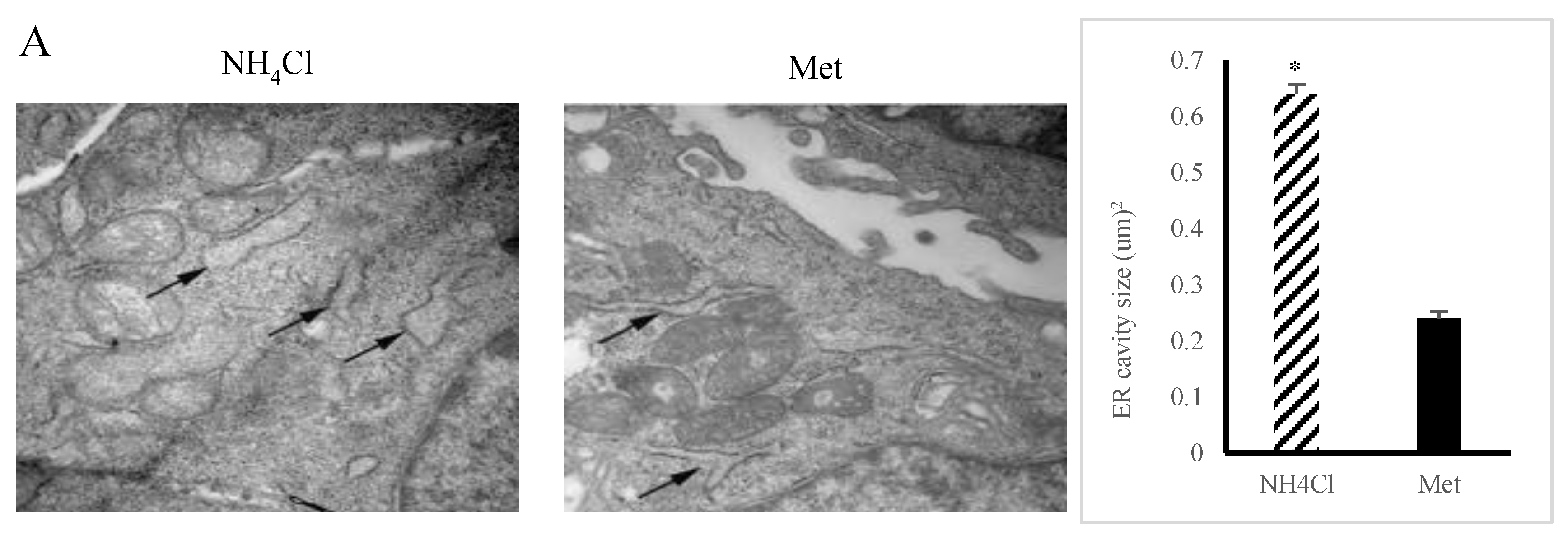 Animals 10 02079 g003a Animals 10 02079 g003a