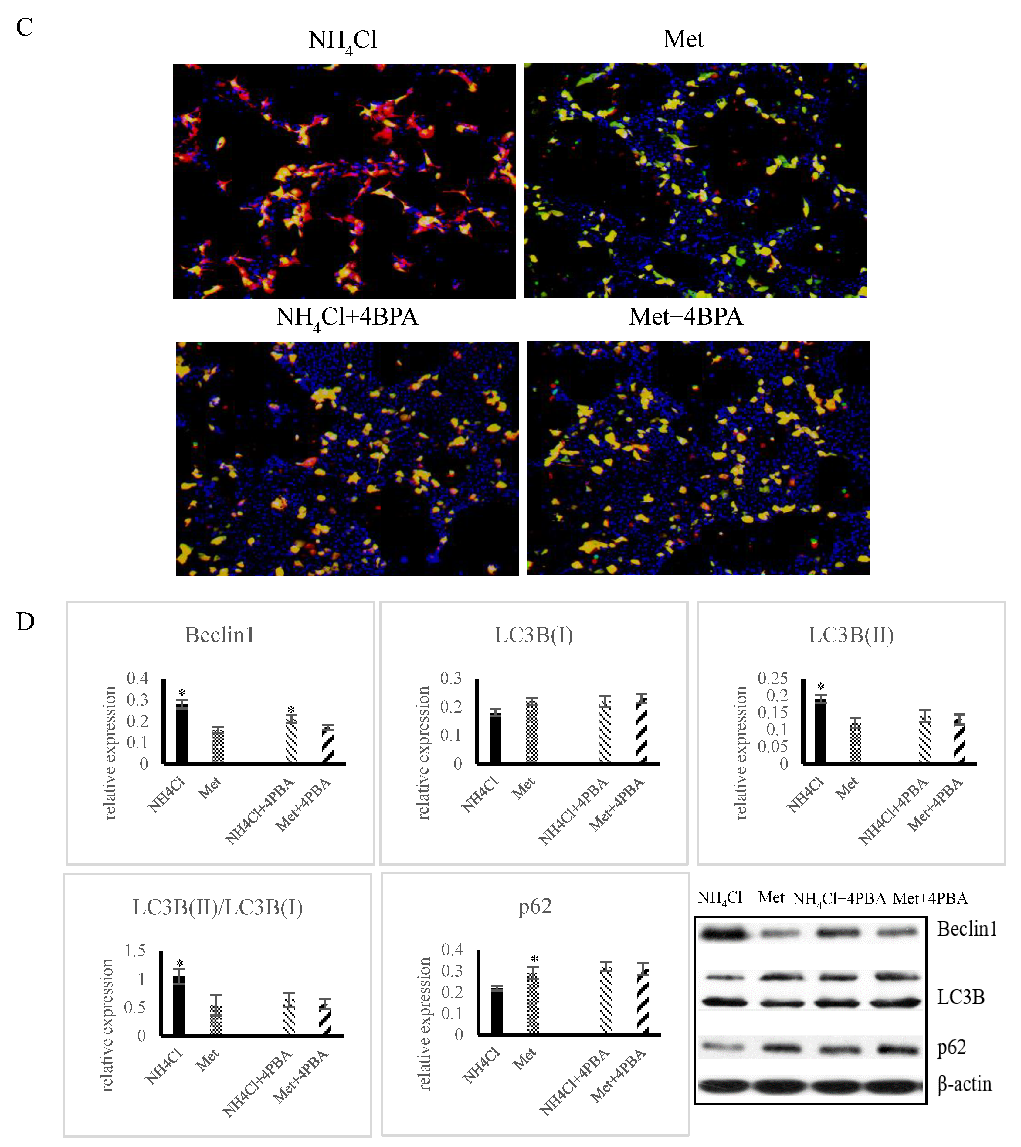 Animals 10 02079 g005b Animals 10 02079 g005b