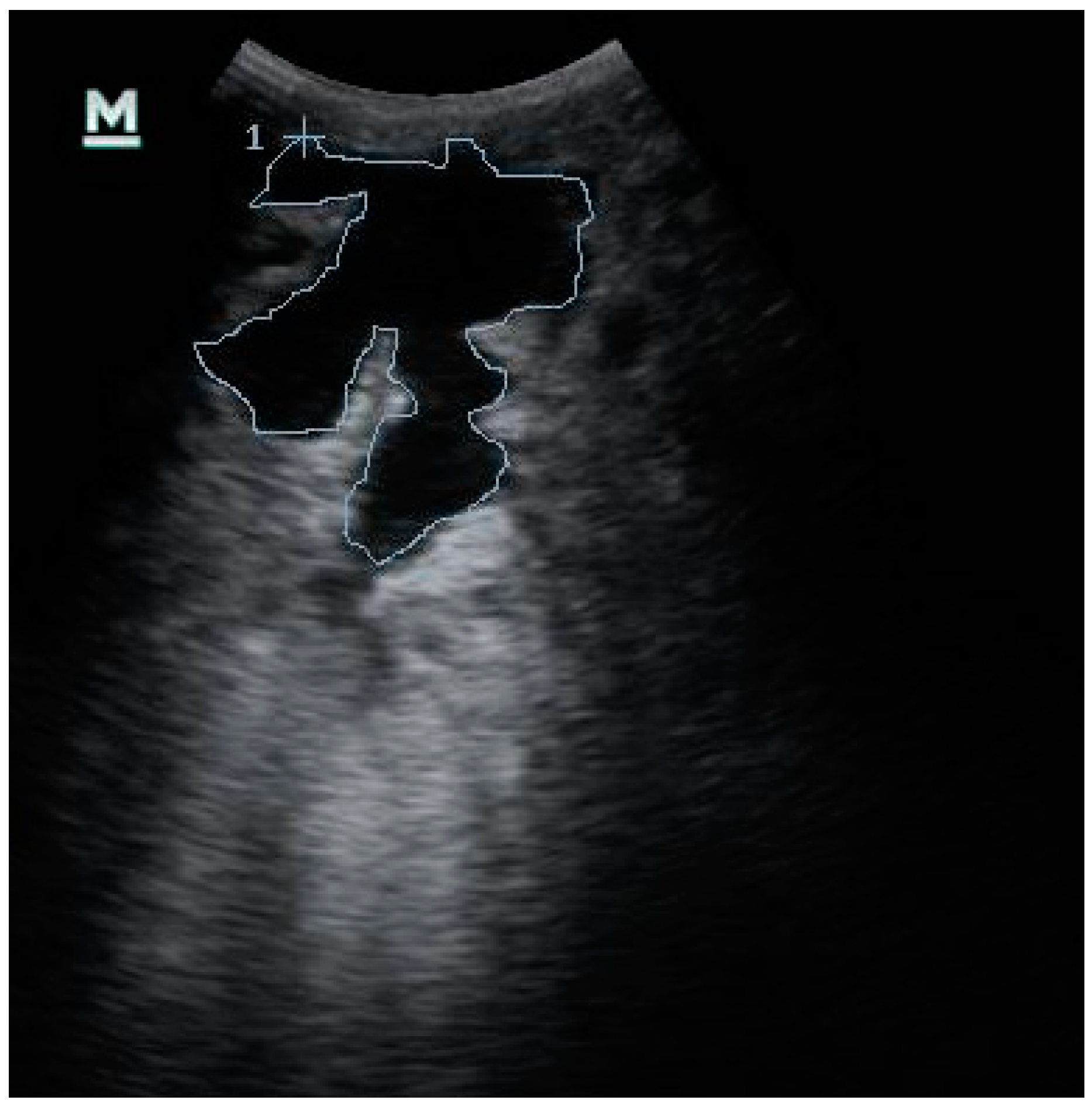 Animals 10 02082 g001