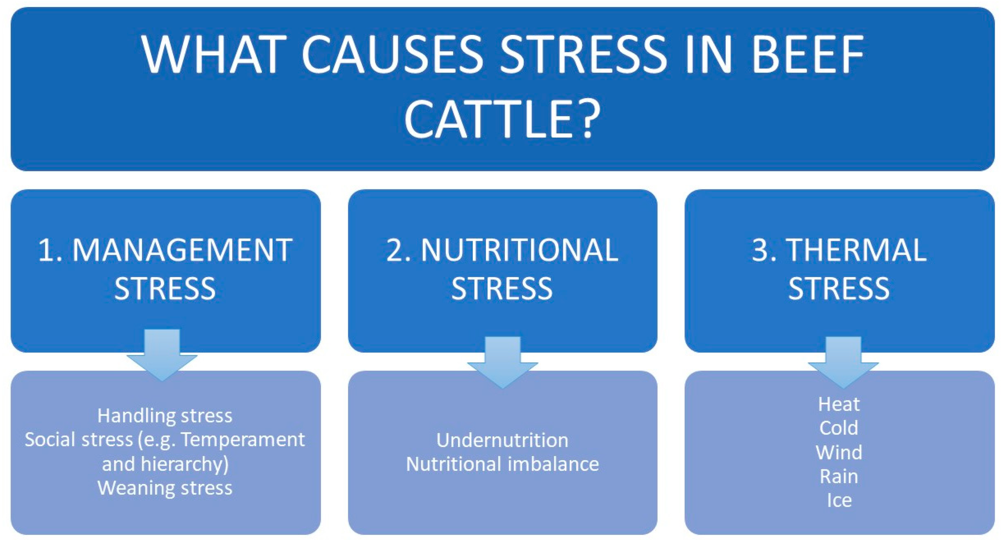 Animals 10 02096 g004 Animals 10 02096 g004