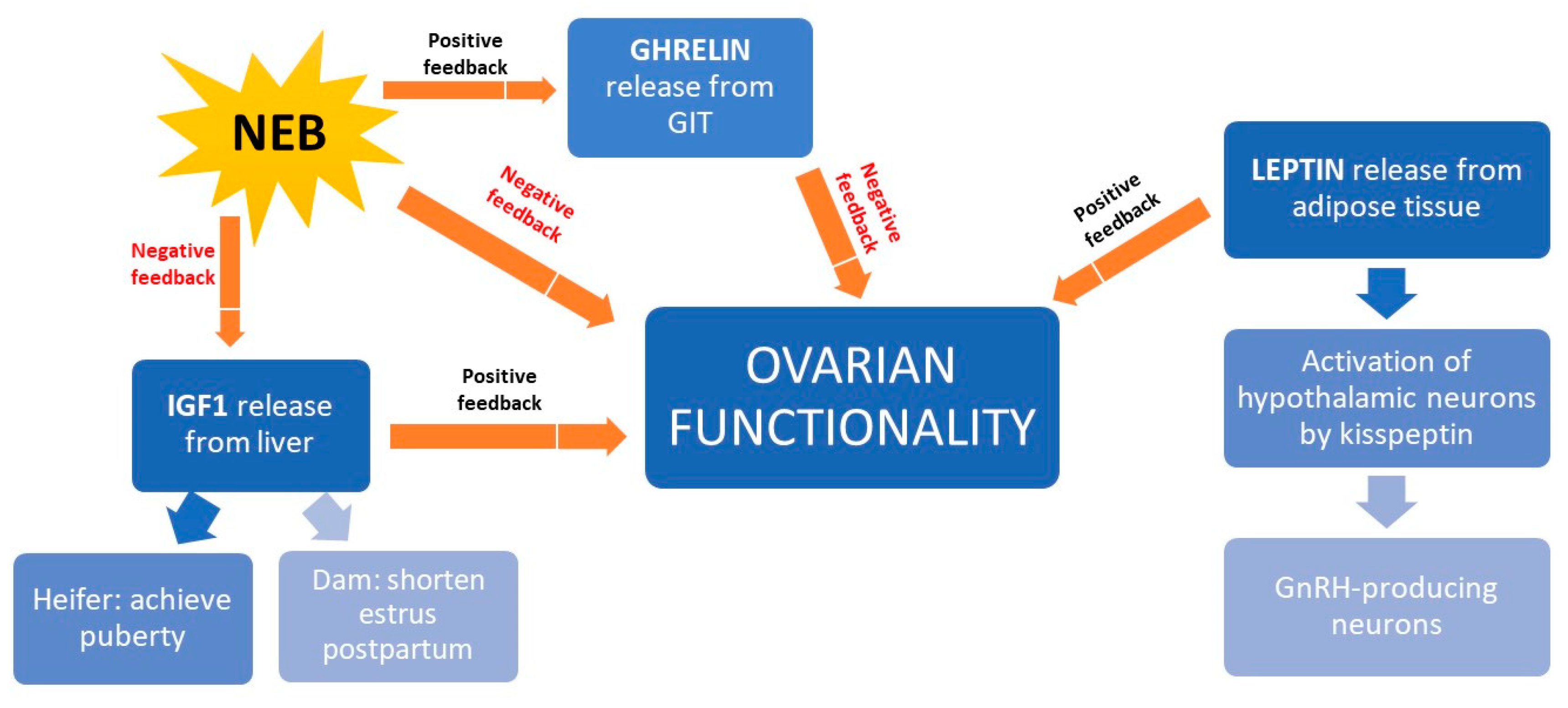 Animals 10 02096 g005 Animals 10 02096 g005