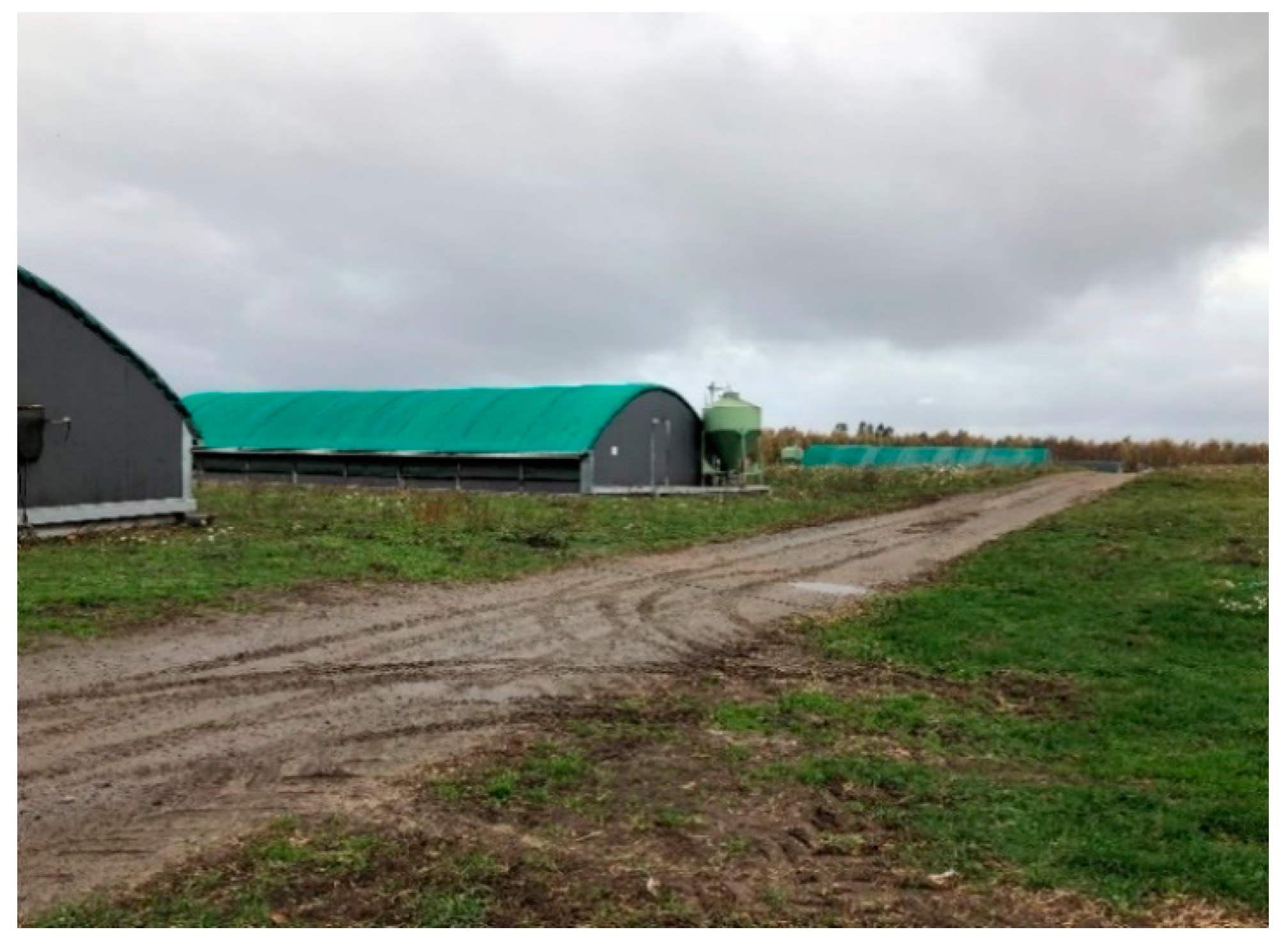 Animals 10 02098 g002