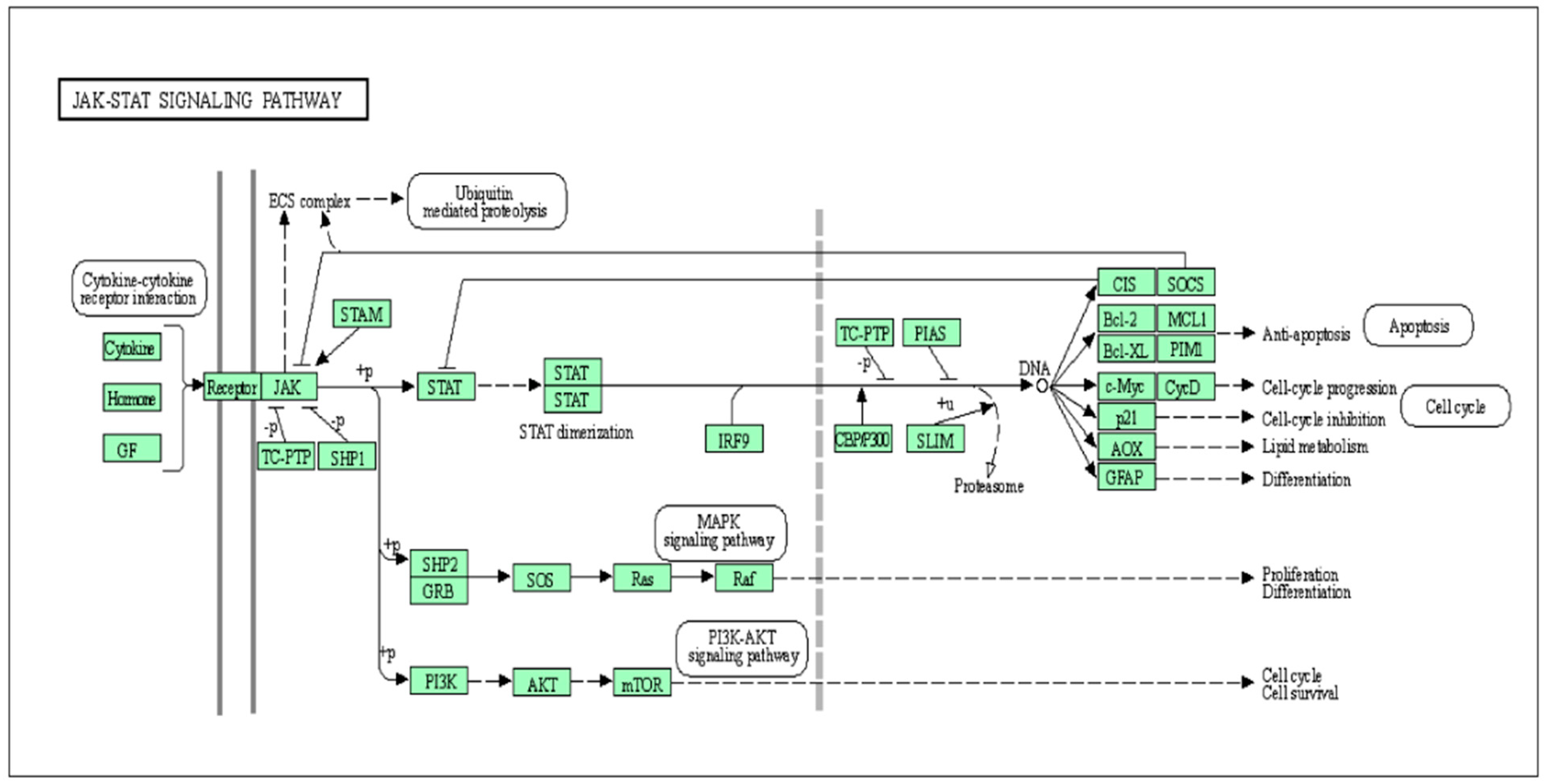 Animals 10 02107 g001