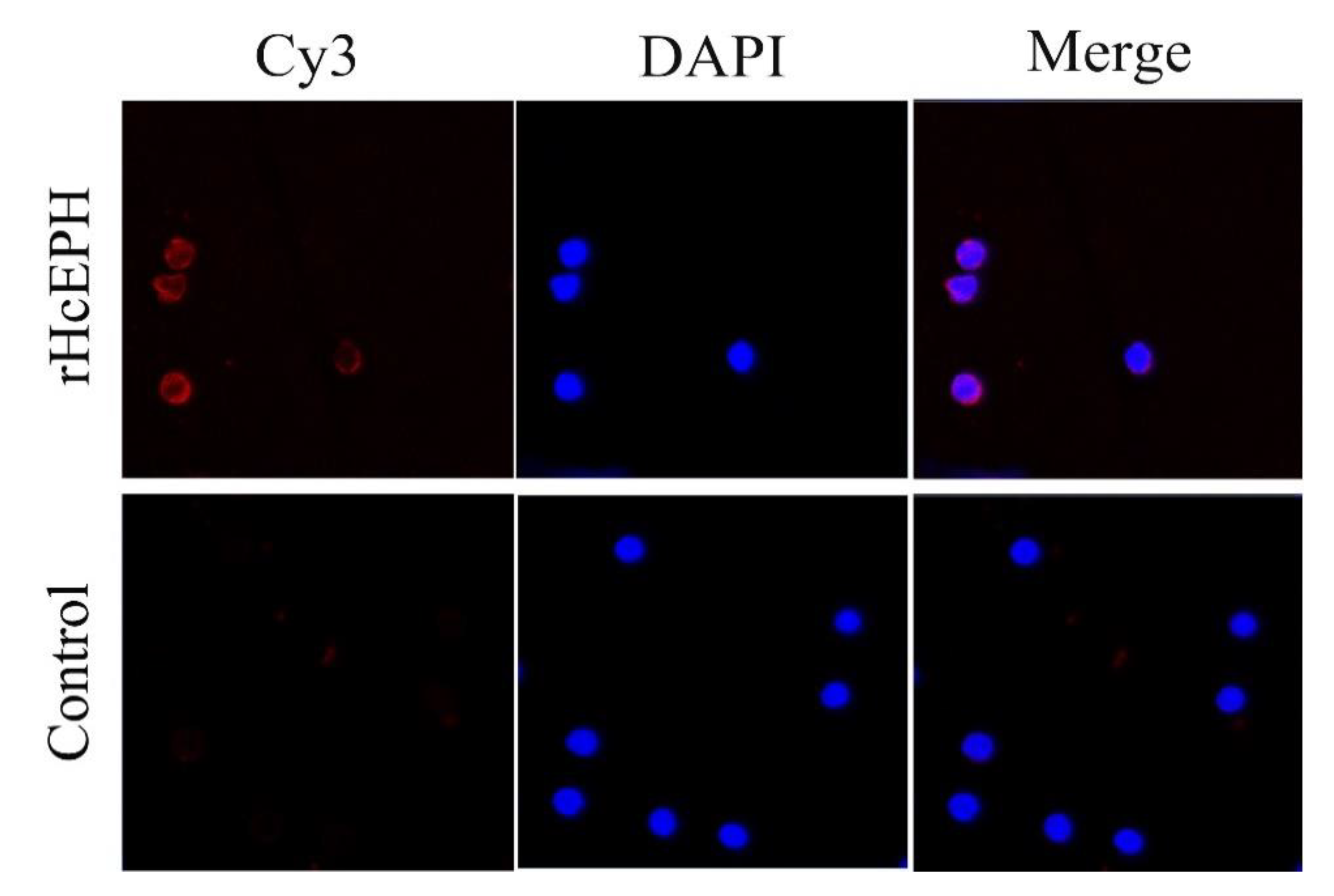 Animals 10 02137 g003 Animals 10 02137 g003