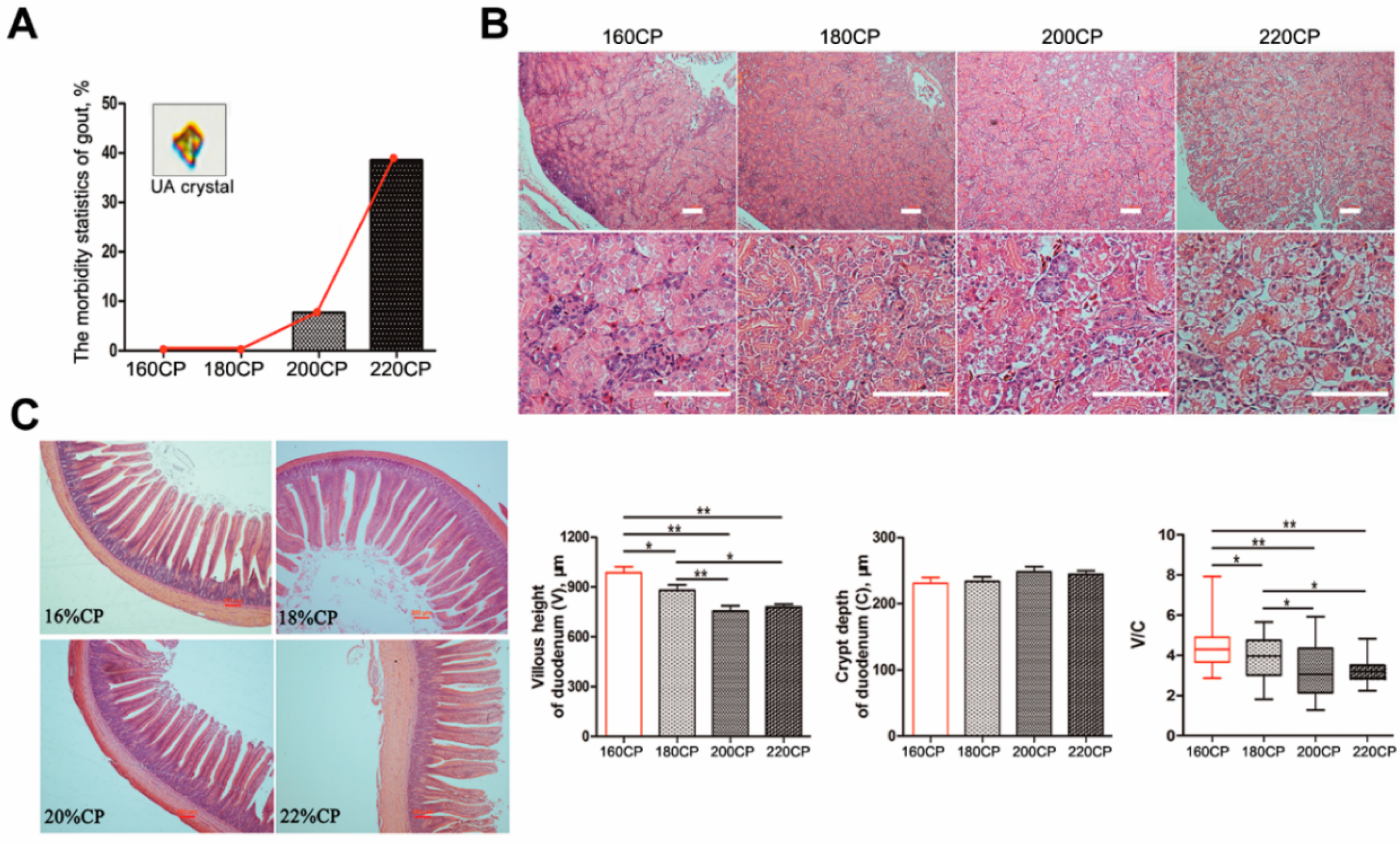 Animals 10 02139 g001