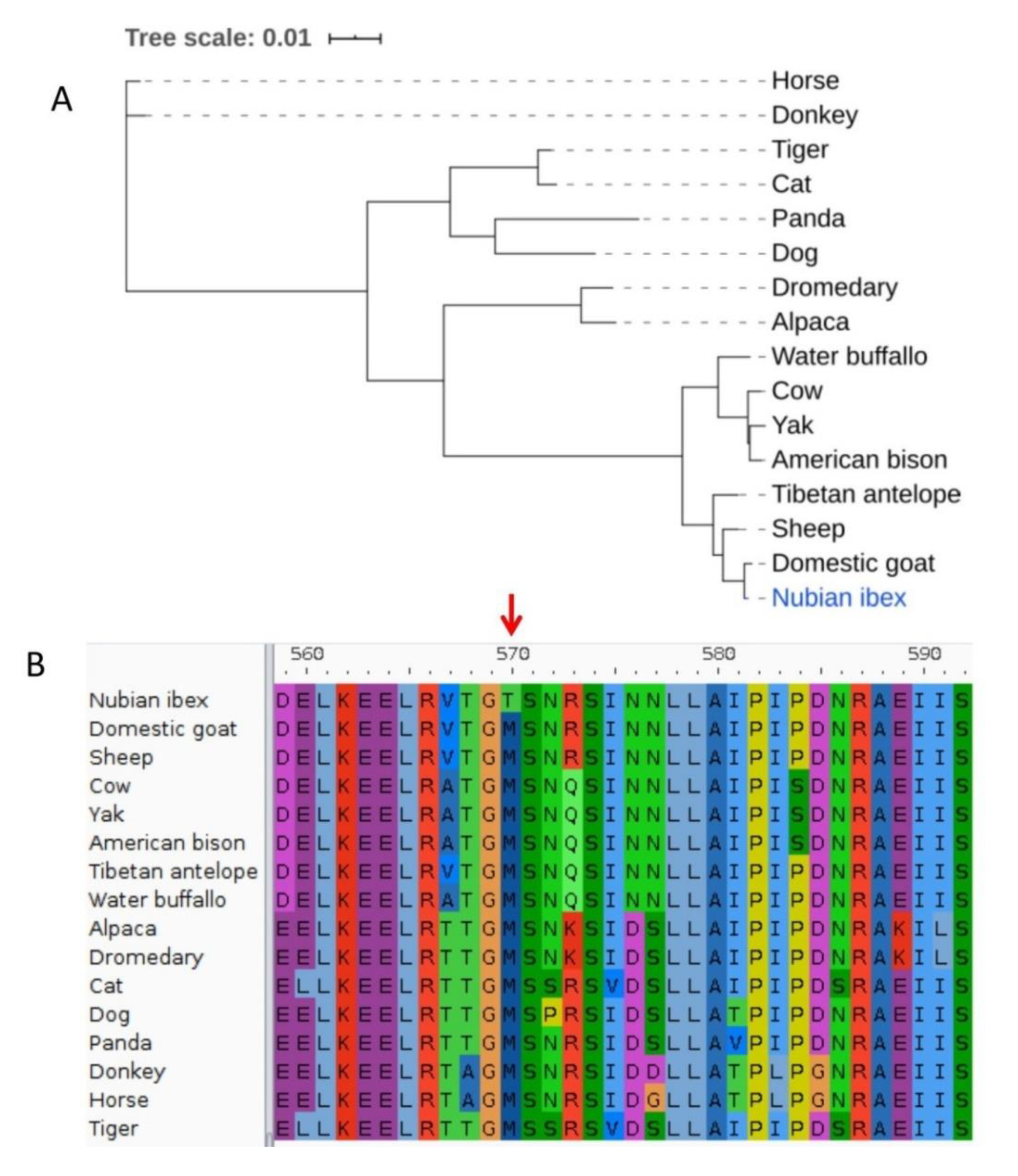 Animals 10 02181 g001