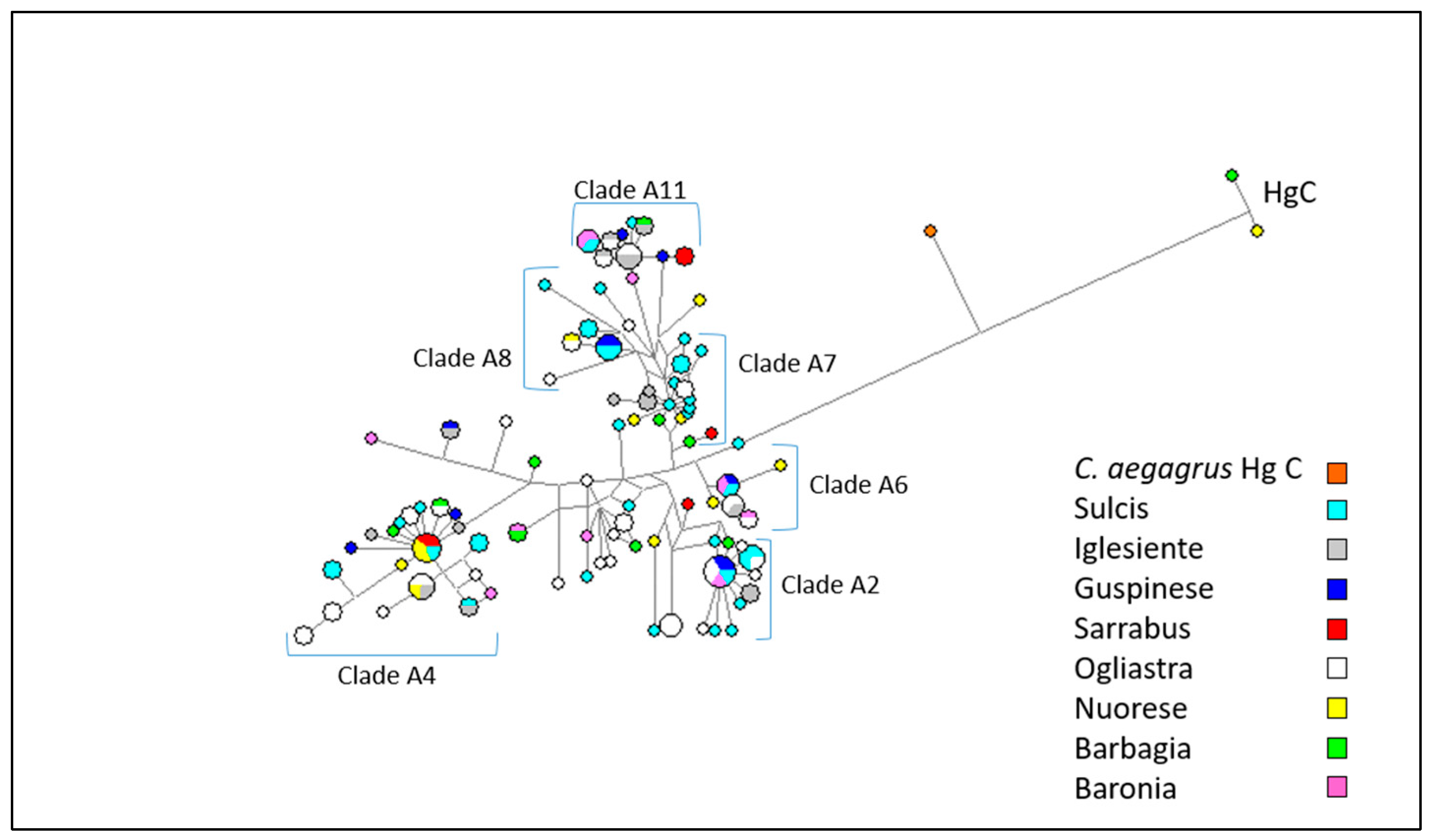 Animals 10 02194 g004 Animals 10 02194 g004