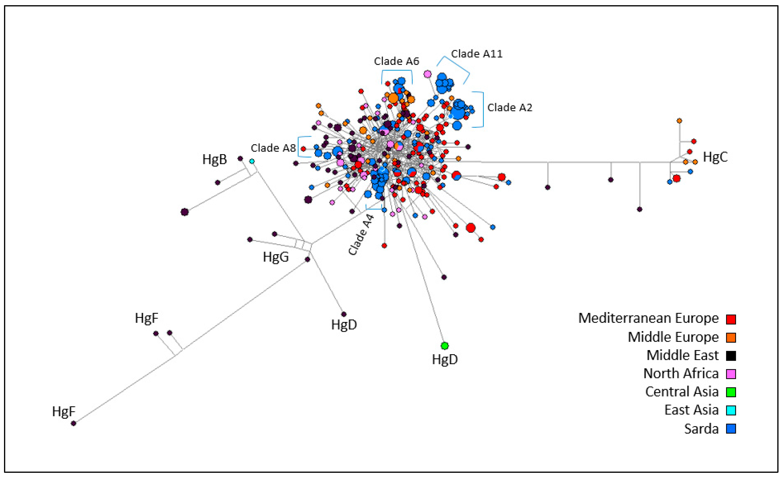 Animals 10 02194 g005 Animals 10 02194 g005