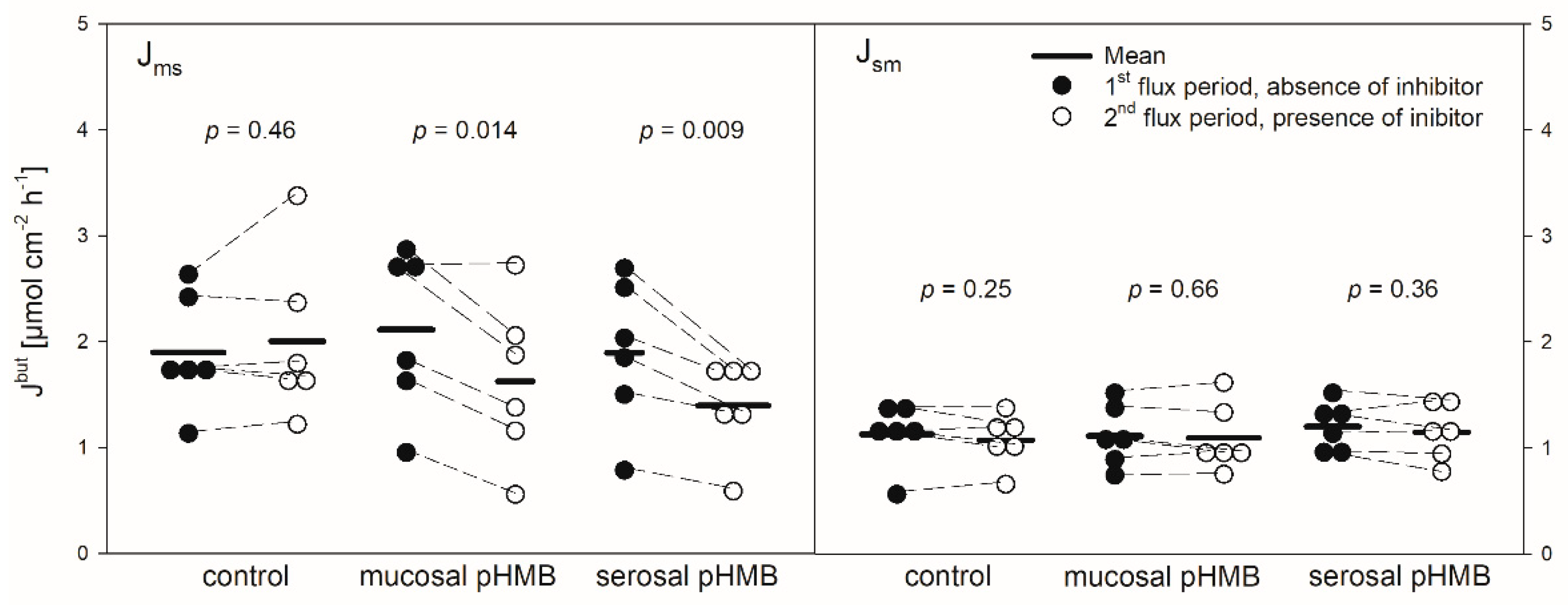 Animals 10 02198 g005