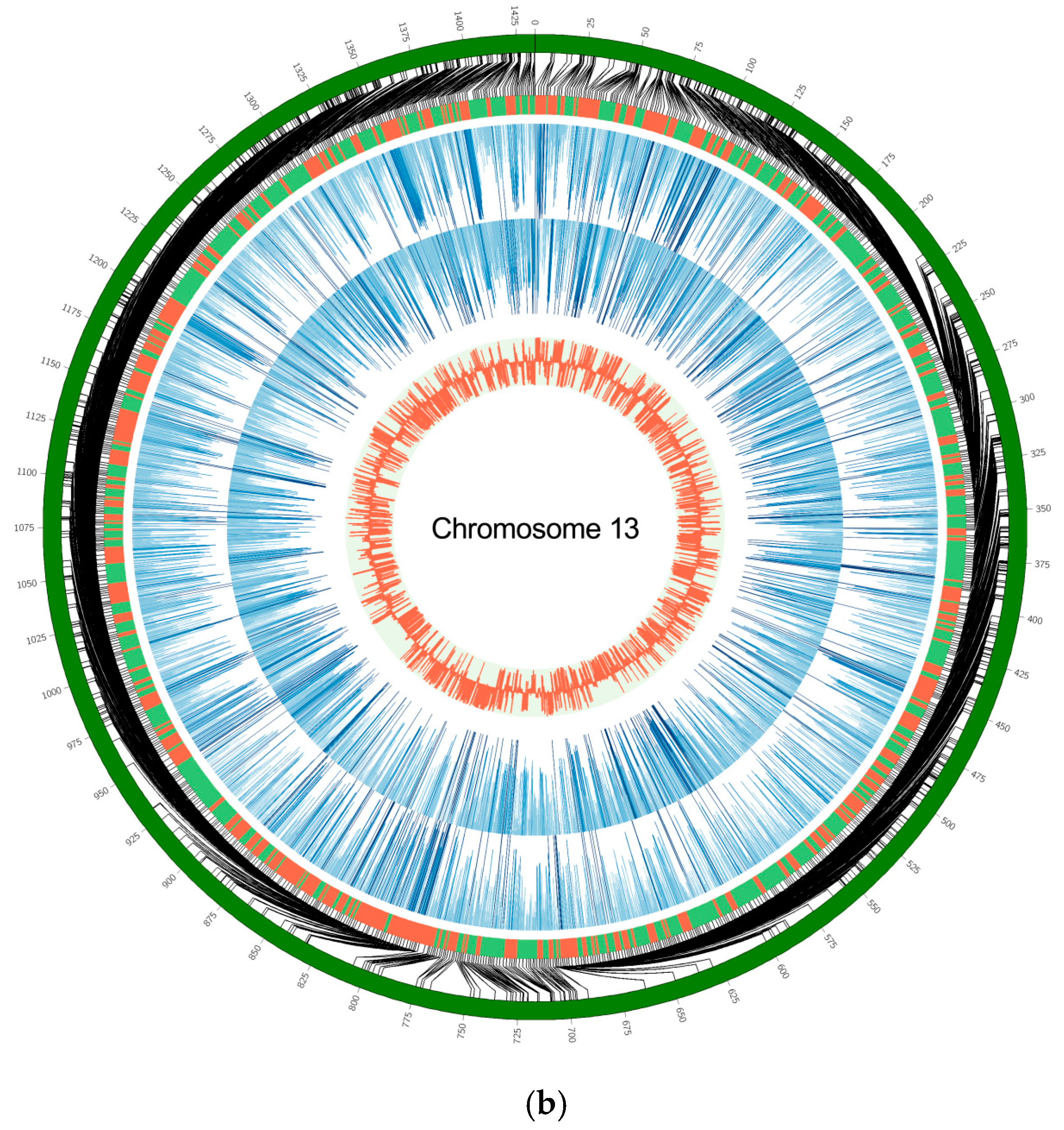Animals 10 02213 g002b