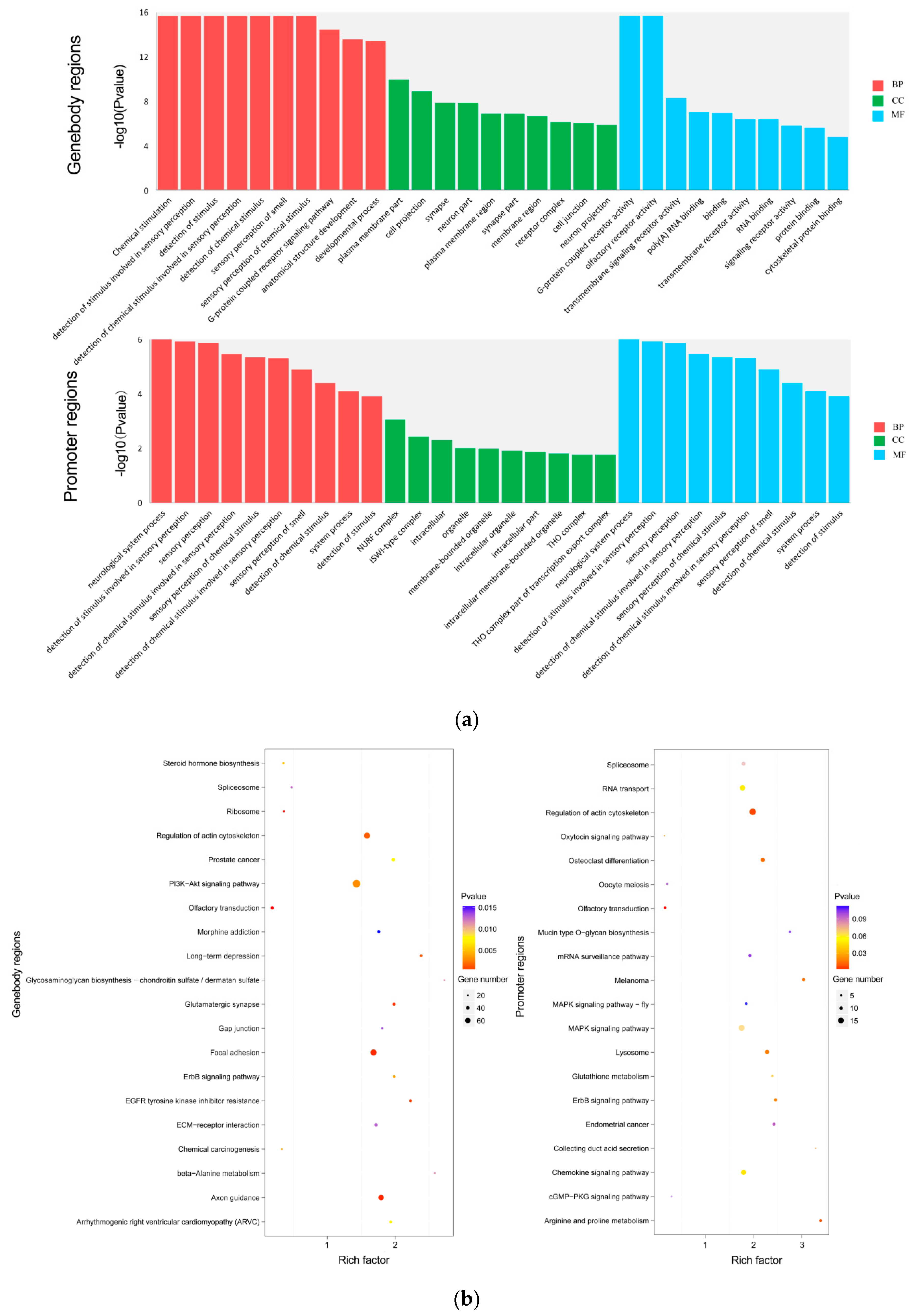 Animals 10 02213 g003