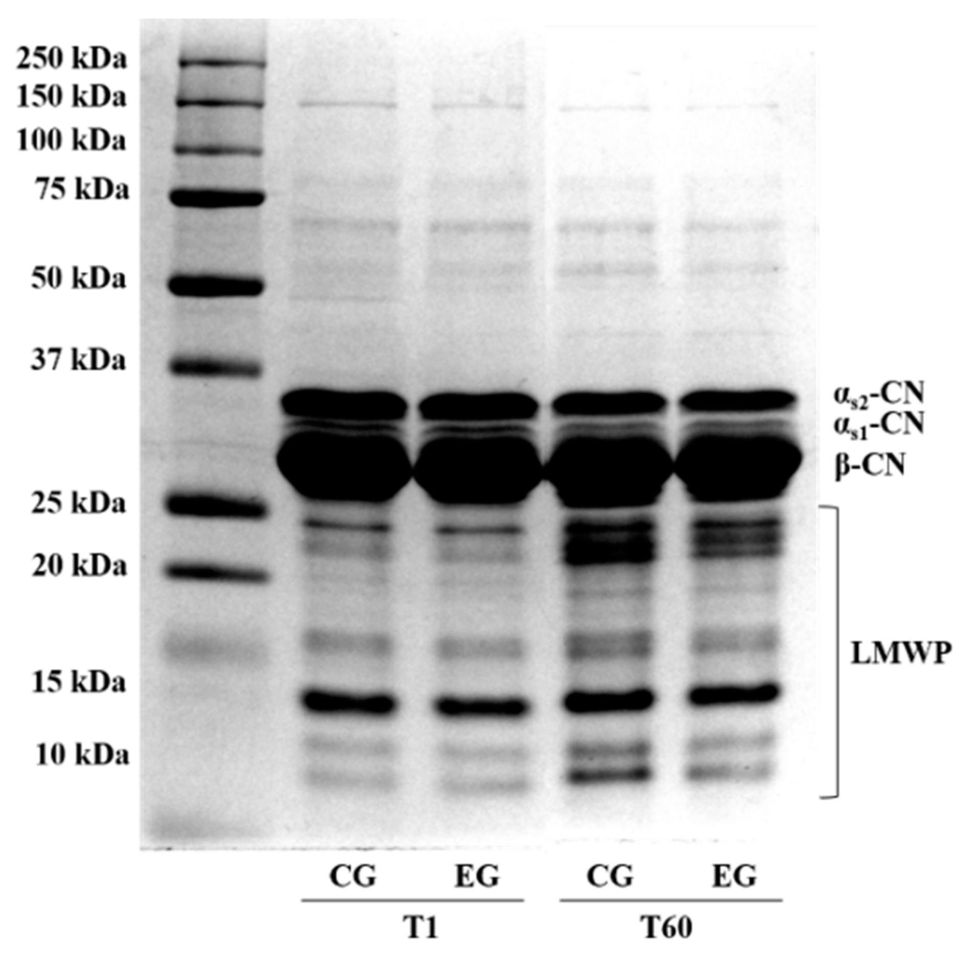 Animals 10 02238 g002