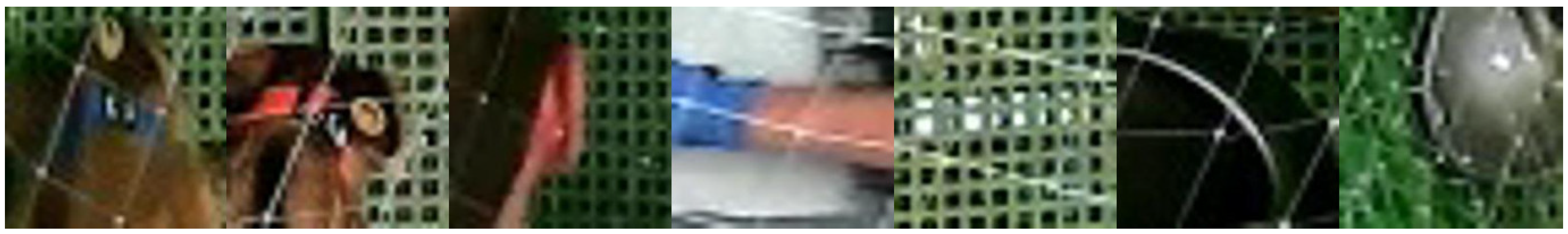 Animals 10 02241 g004