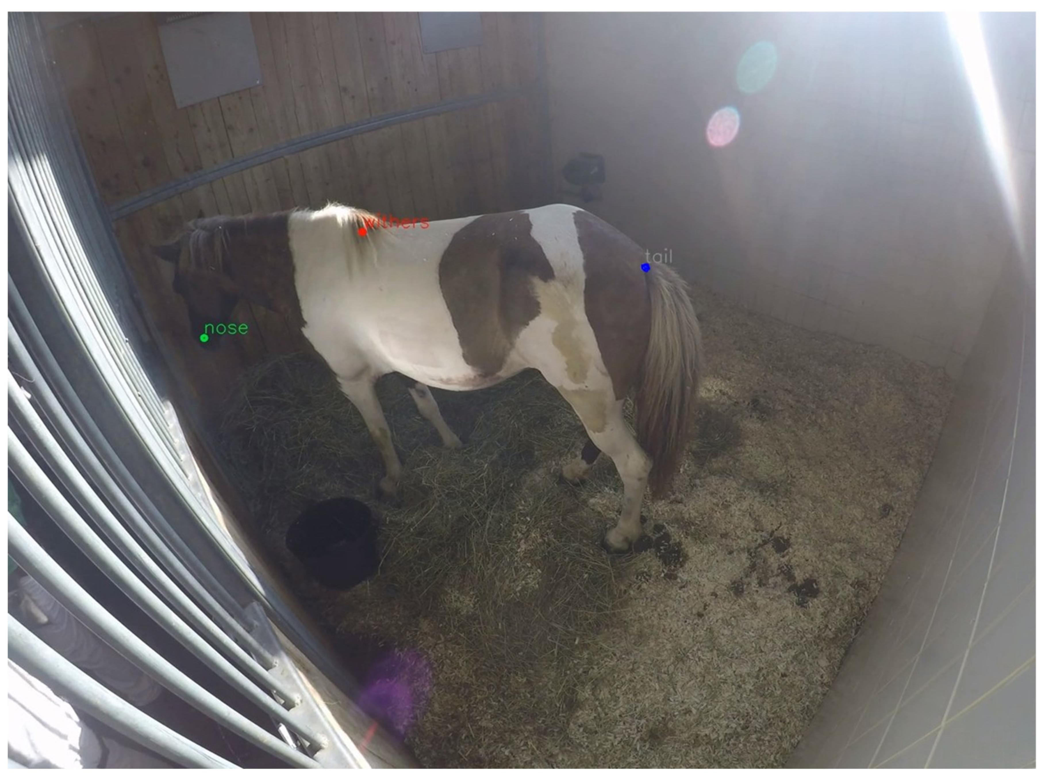 Animals 10 02258 g001