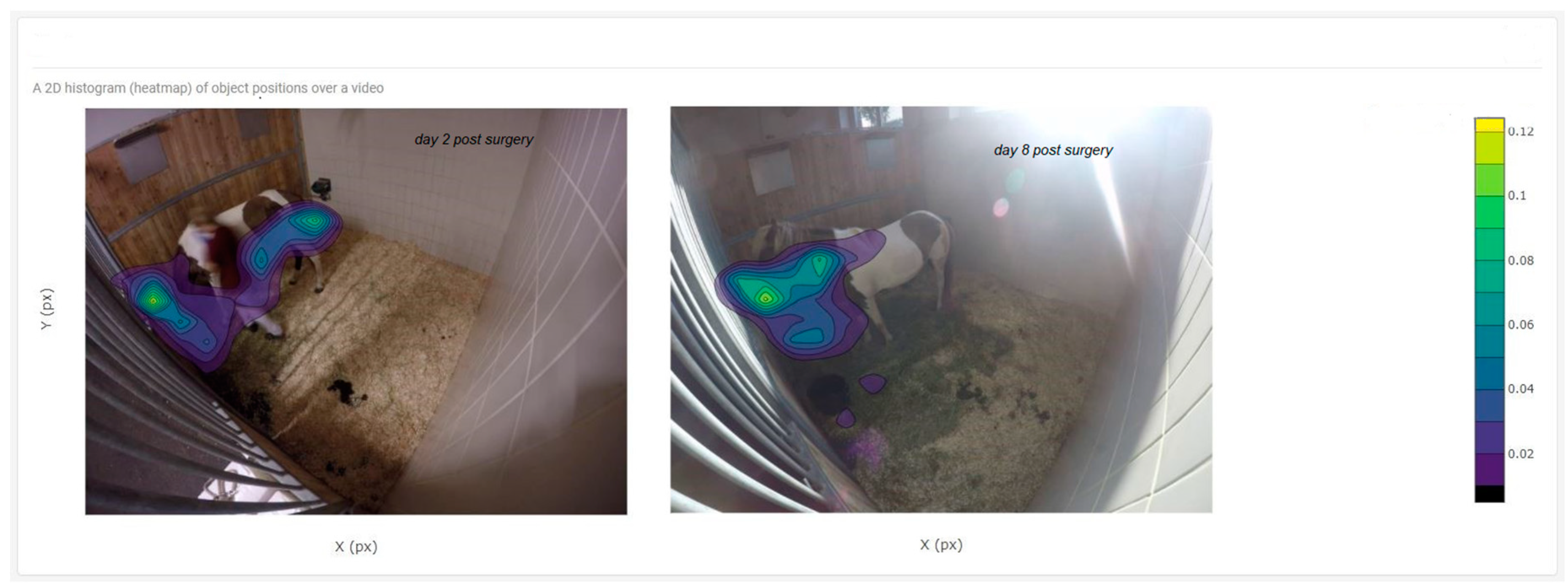 Animals 10 02258 g002