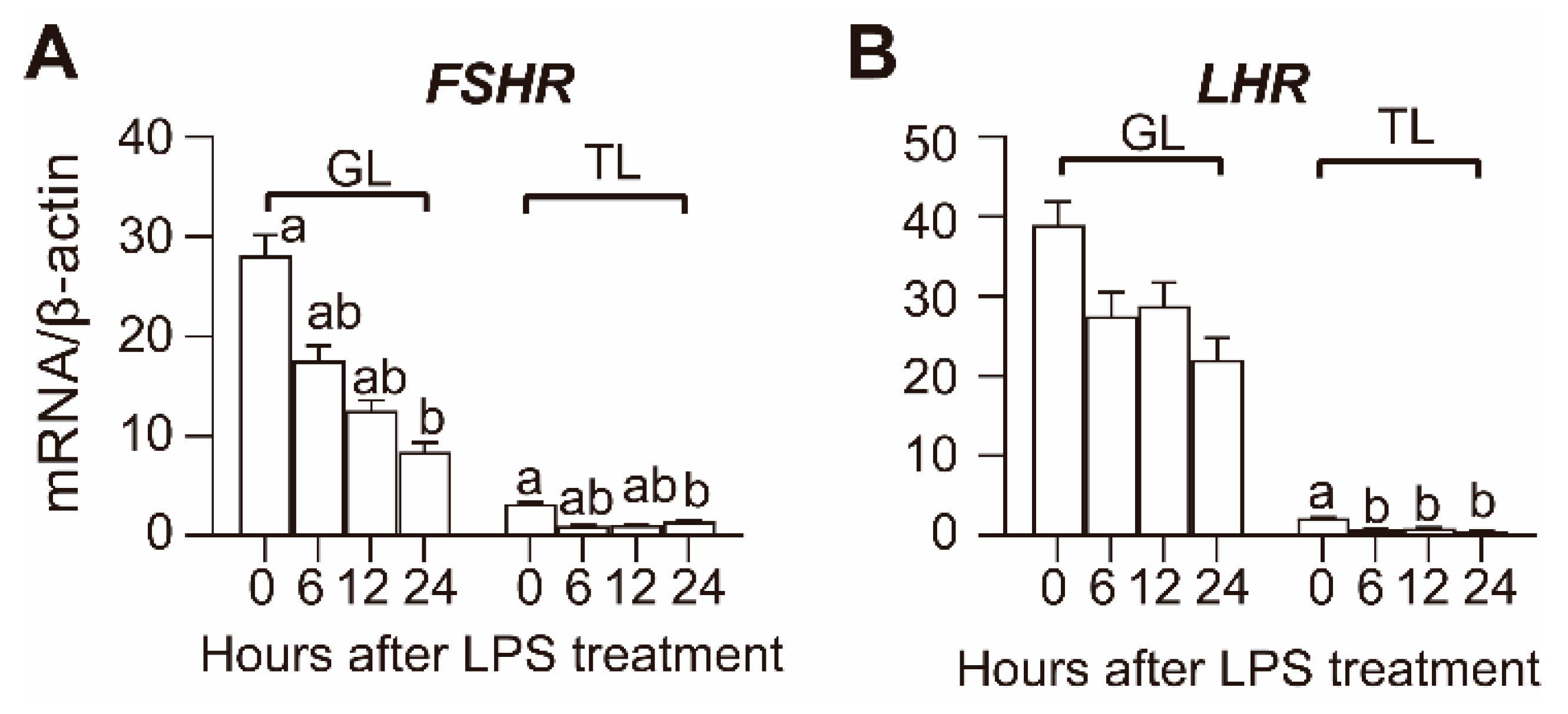 Animals 10 02259 g003