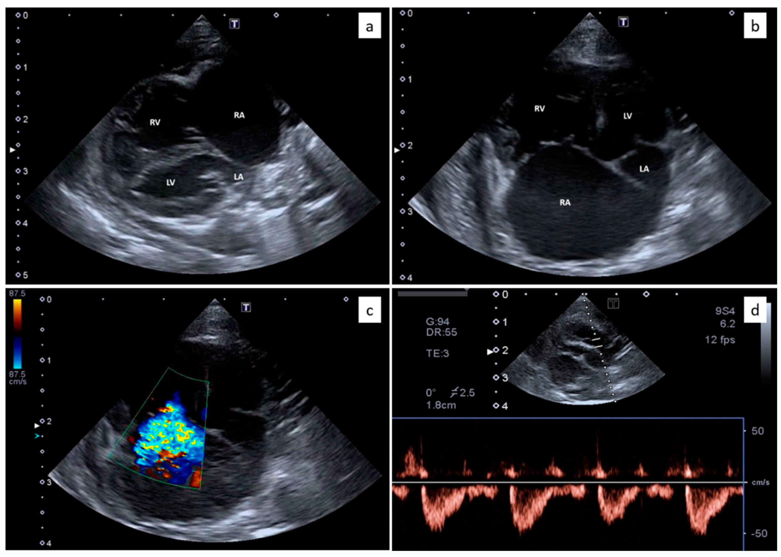 Animals 10 02263 g002