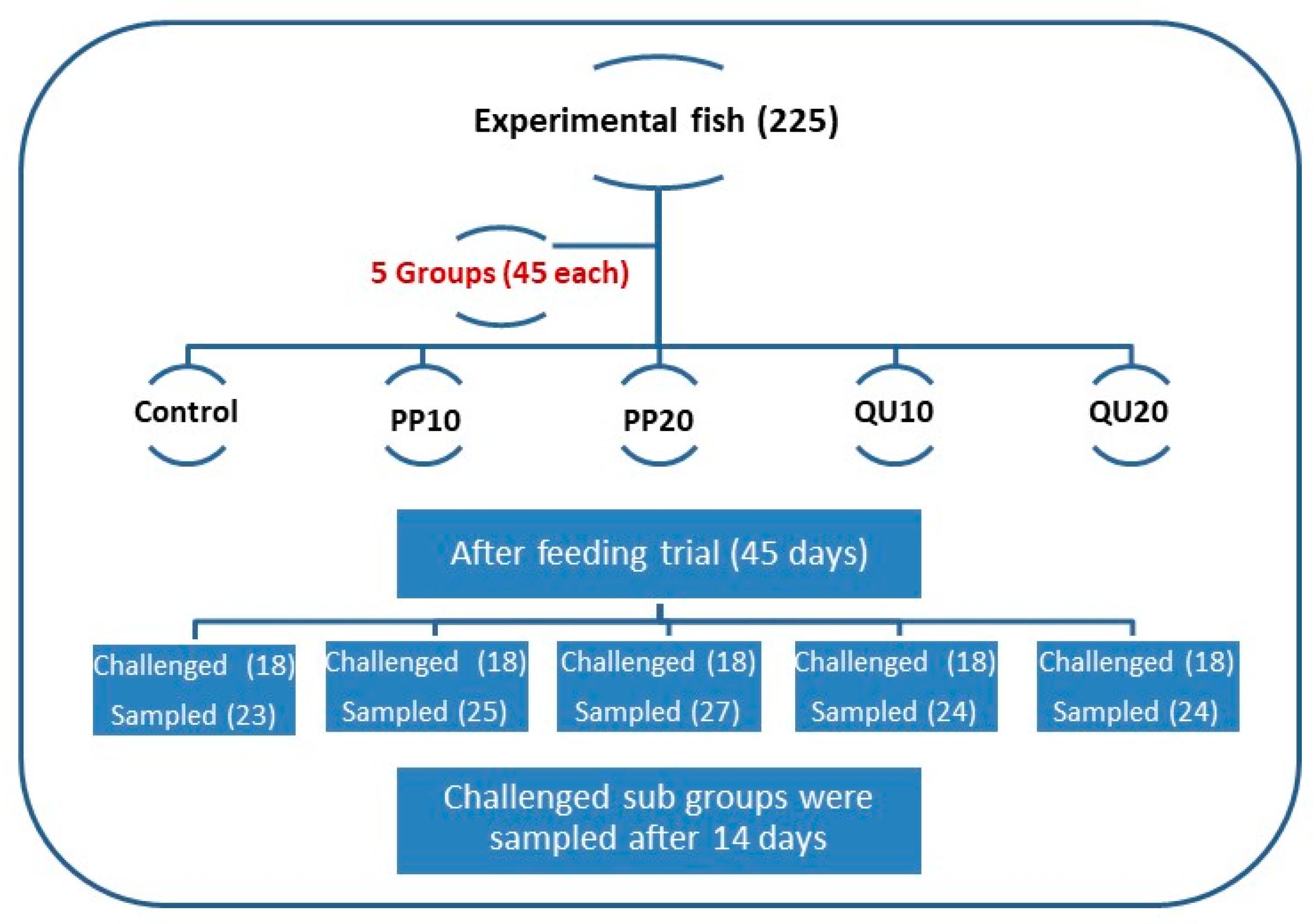 Animals 10 02266 g001