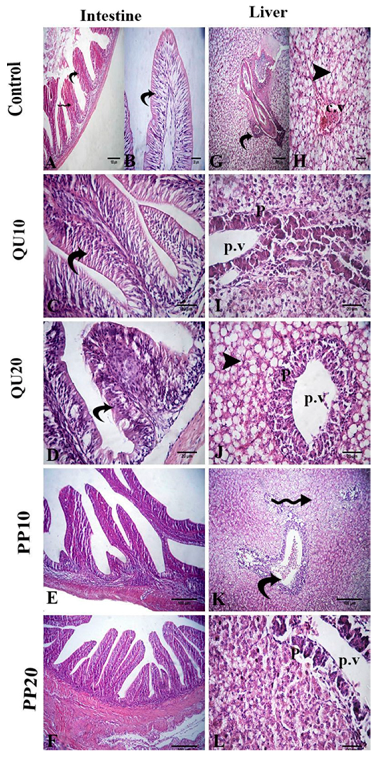 Animals 10 02266 g006