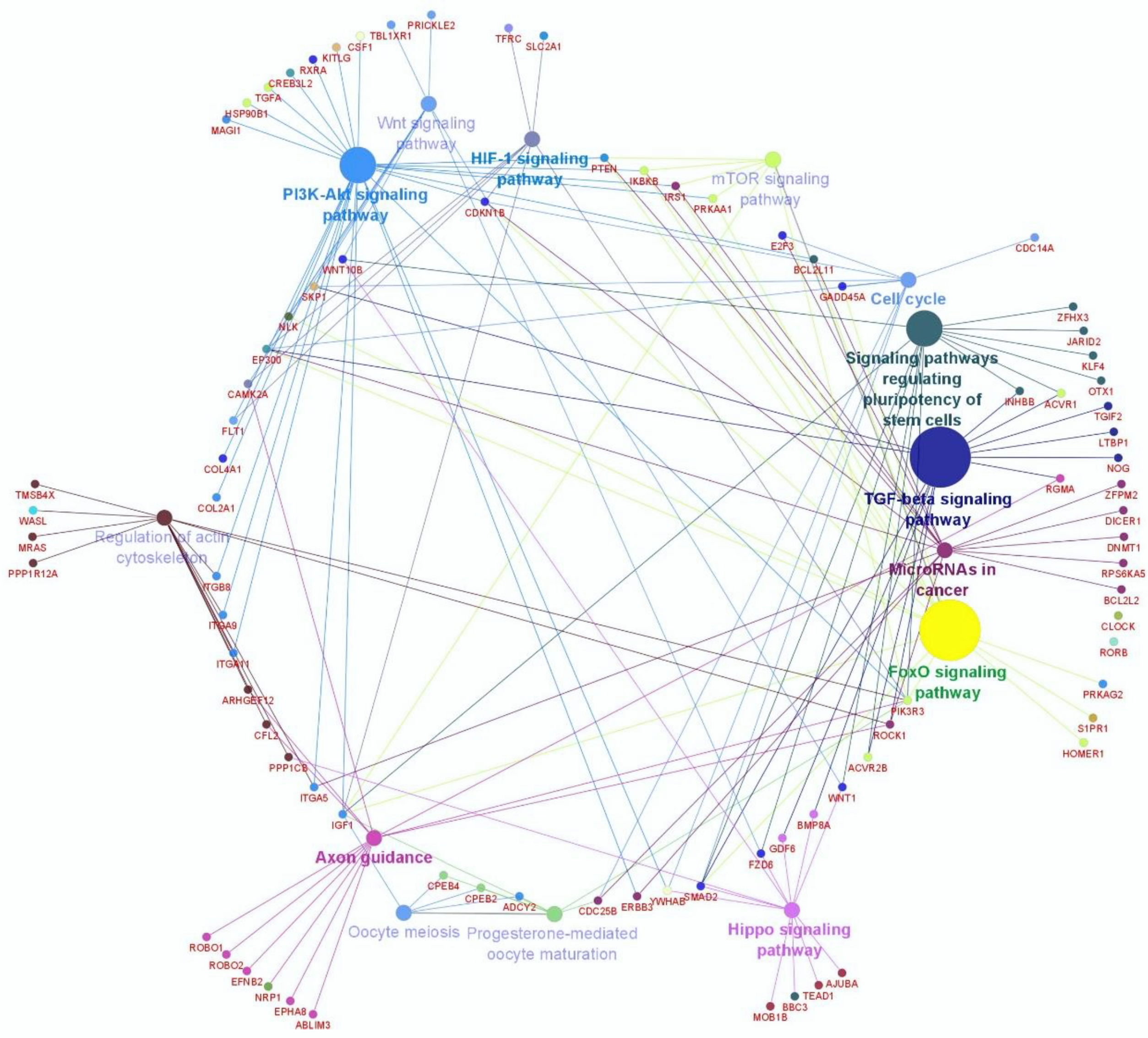 Animals 10 02289 g002