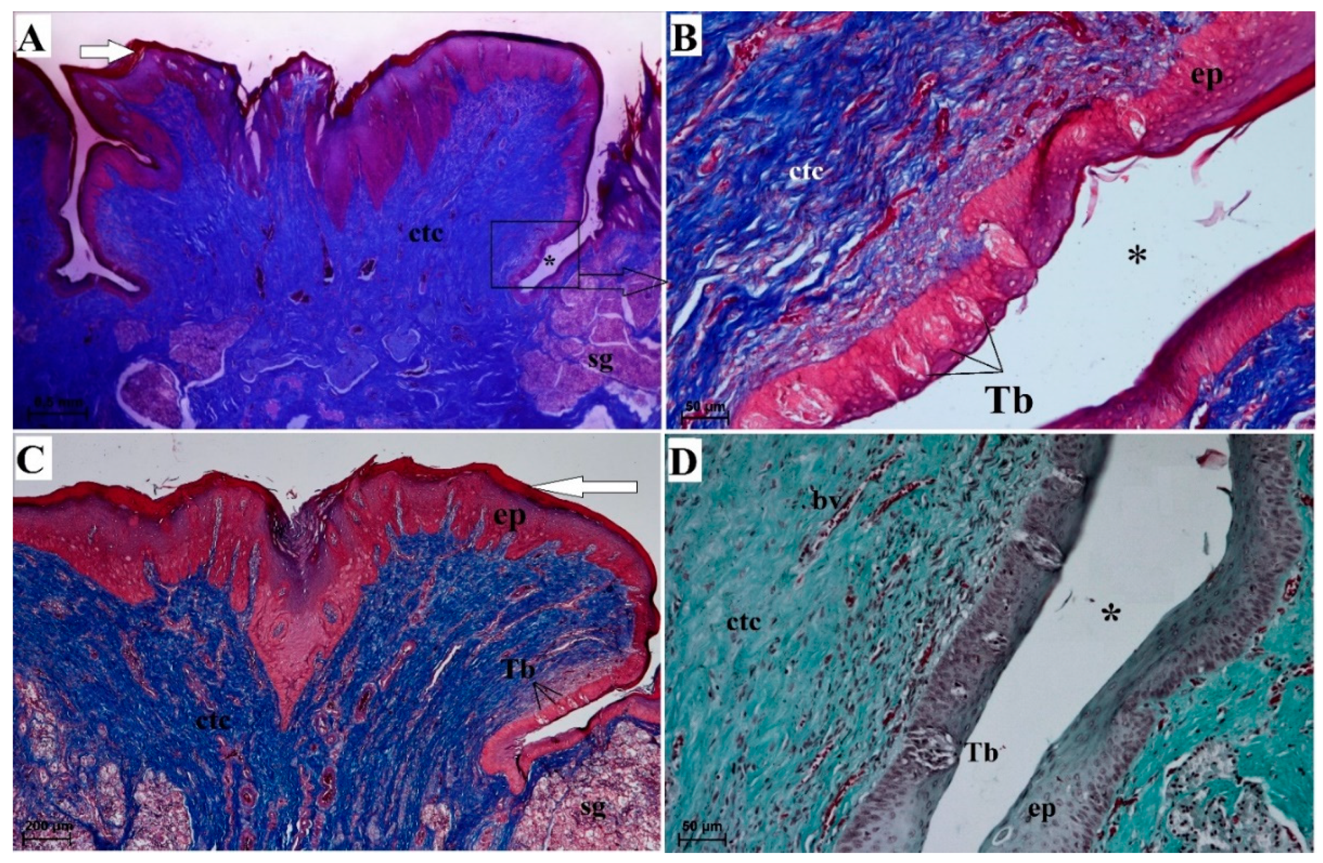 Animals 10 02297 g008