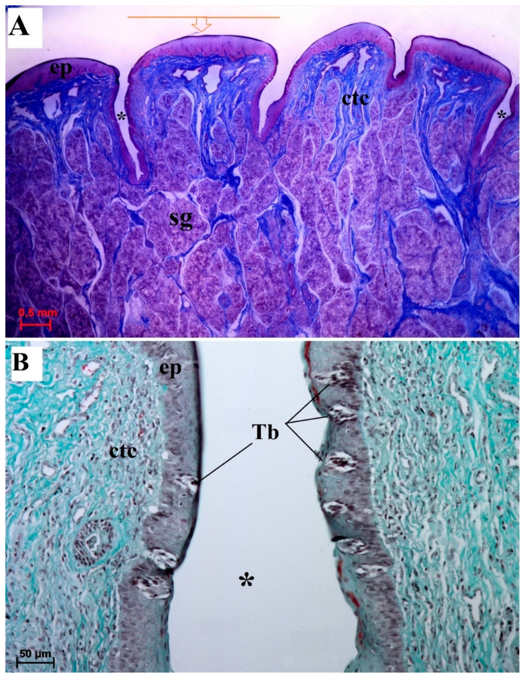 Animals 10 02297 g010