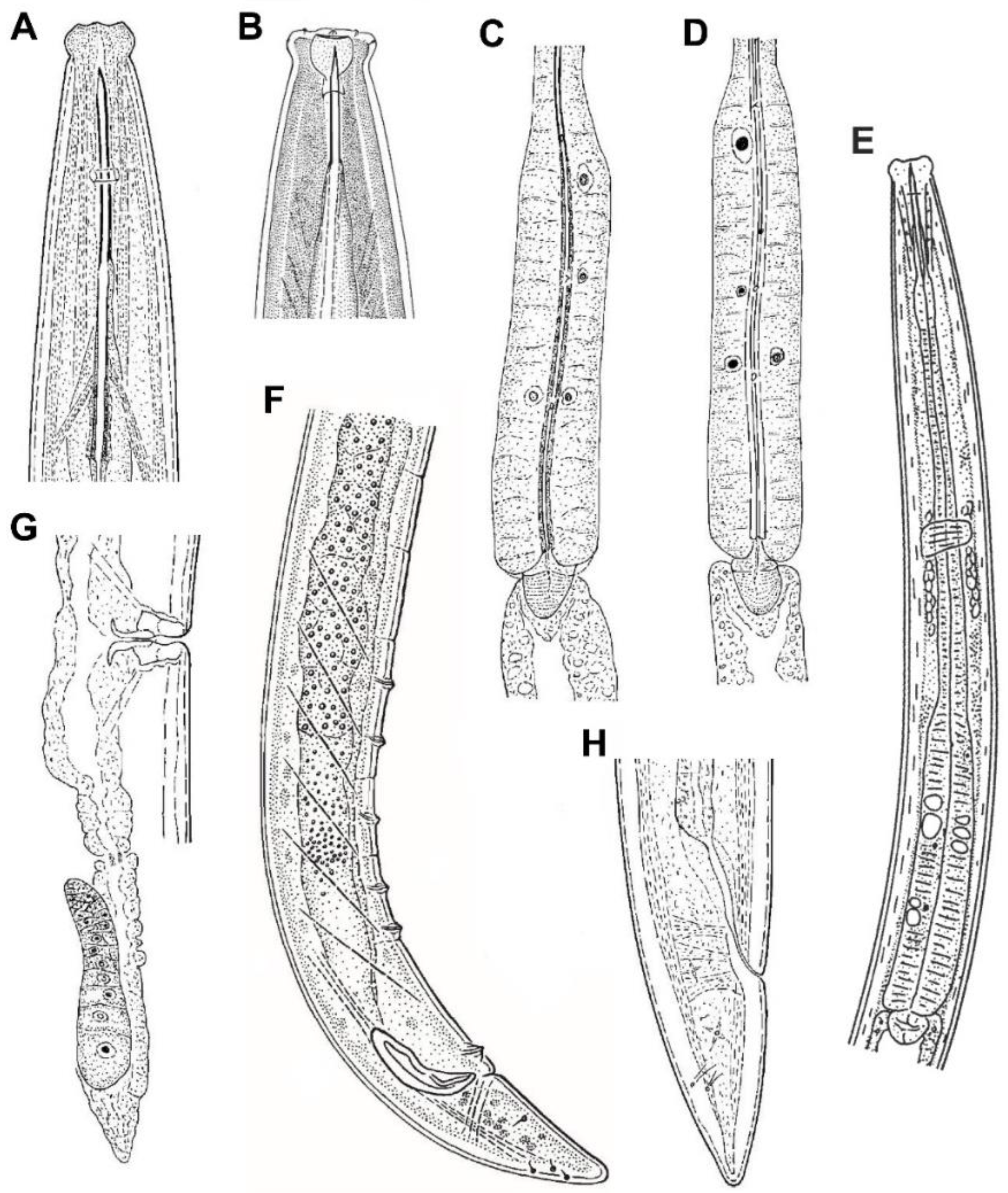 Animals 10 02300 g004