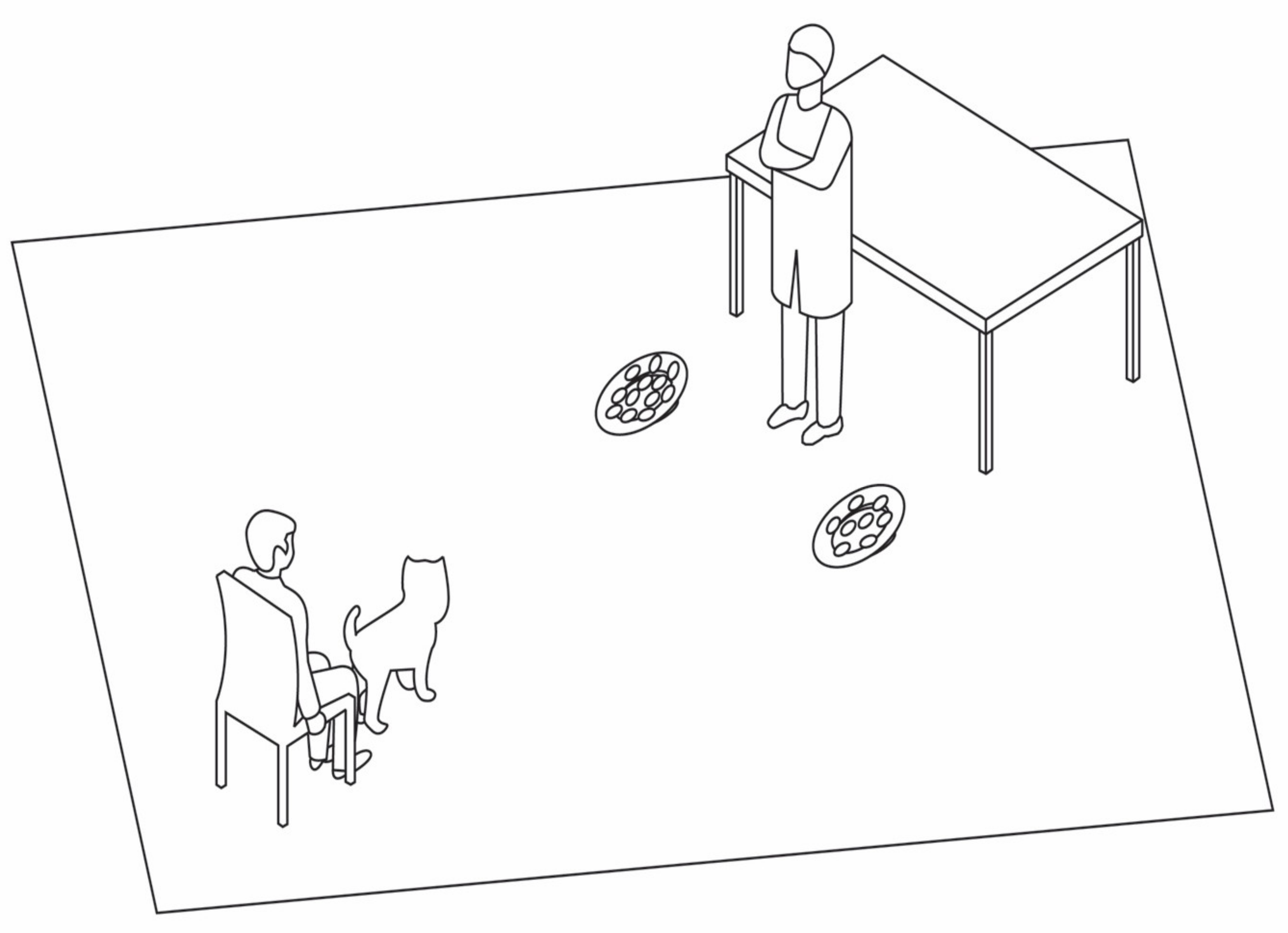 Animals 10 02304 g002