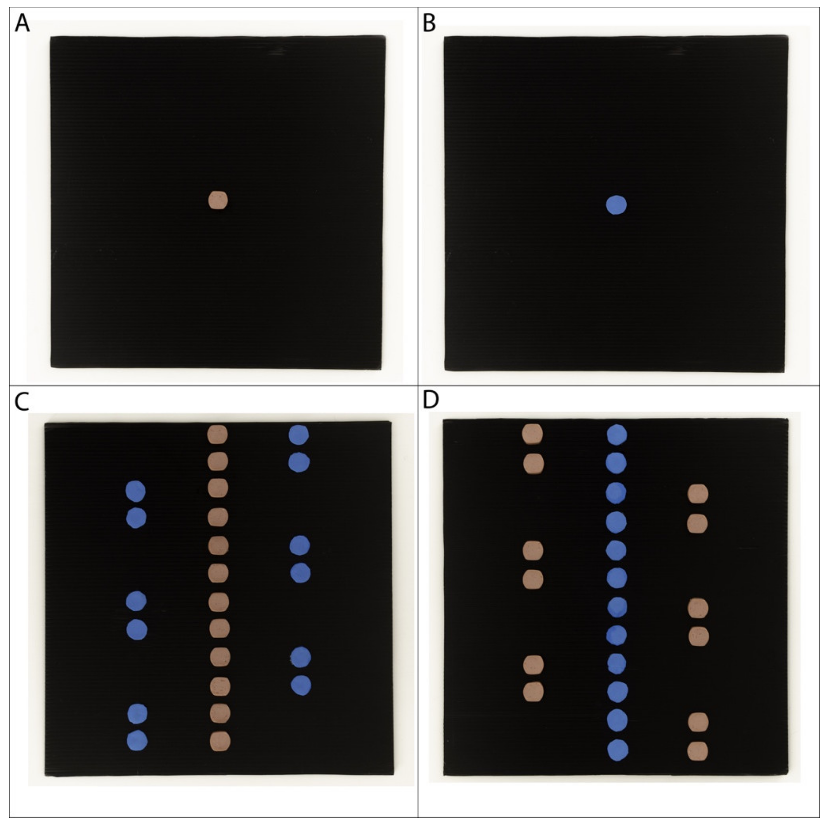 Animals 10 02304 g003