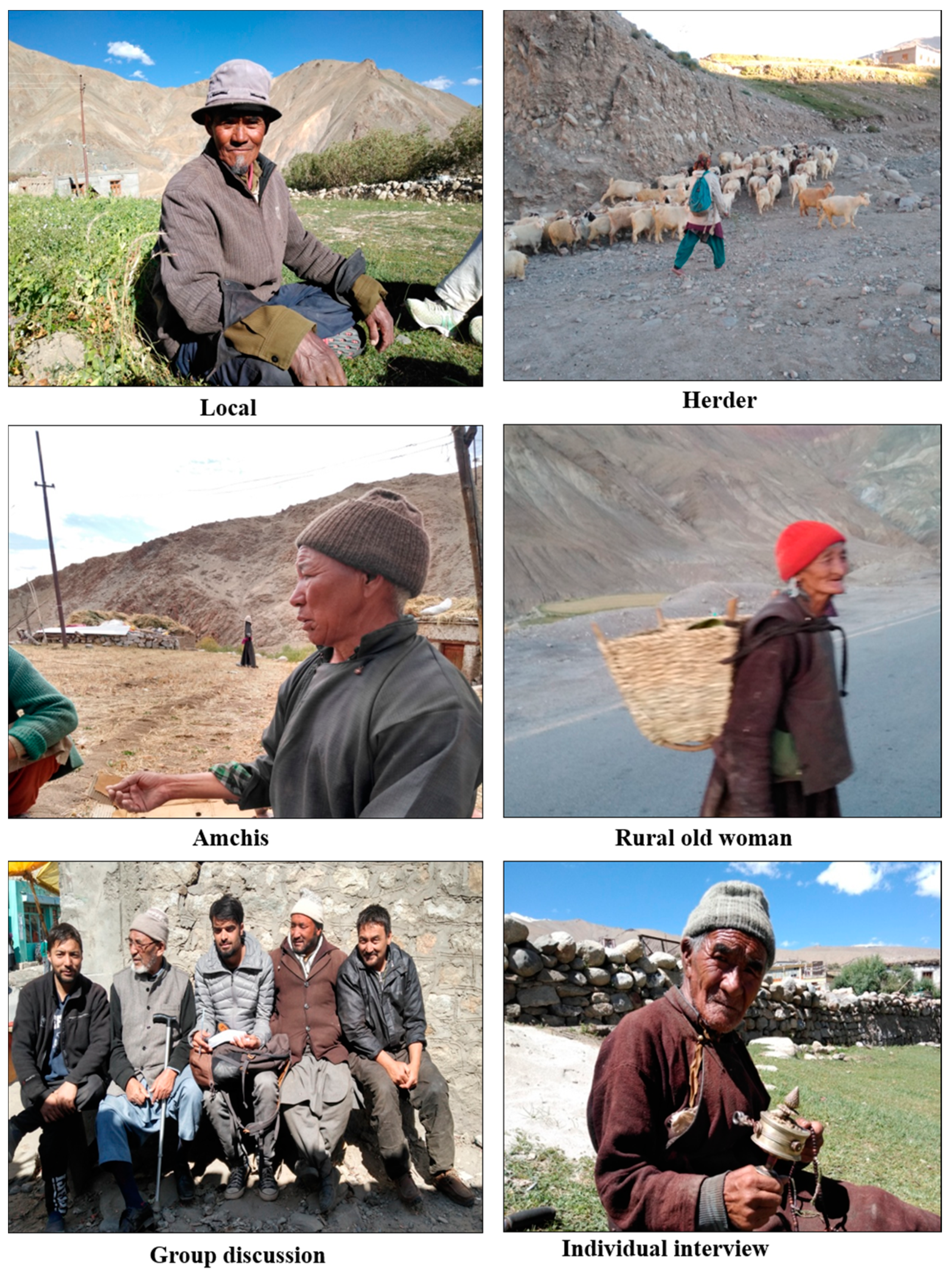 Animals 10 02317 g002