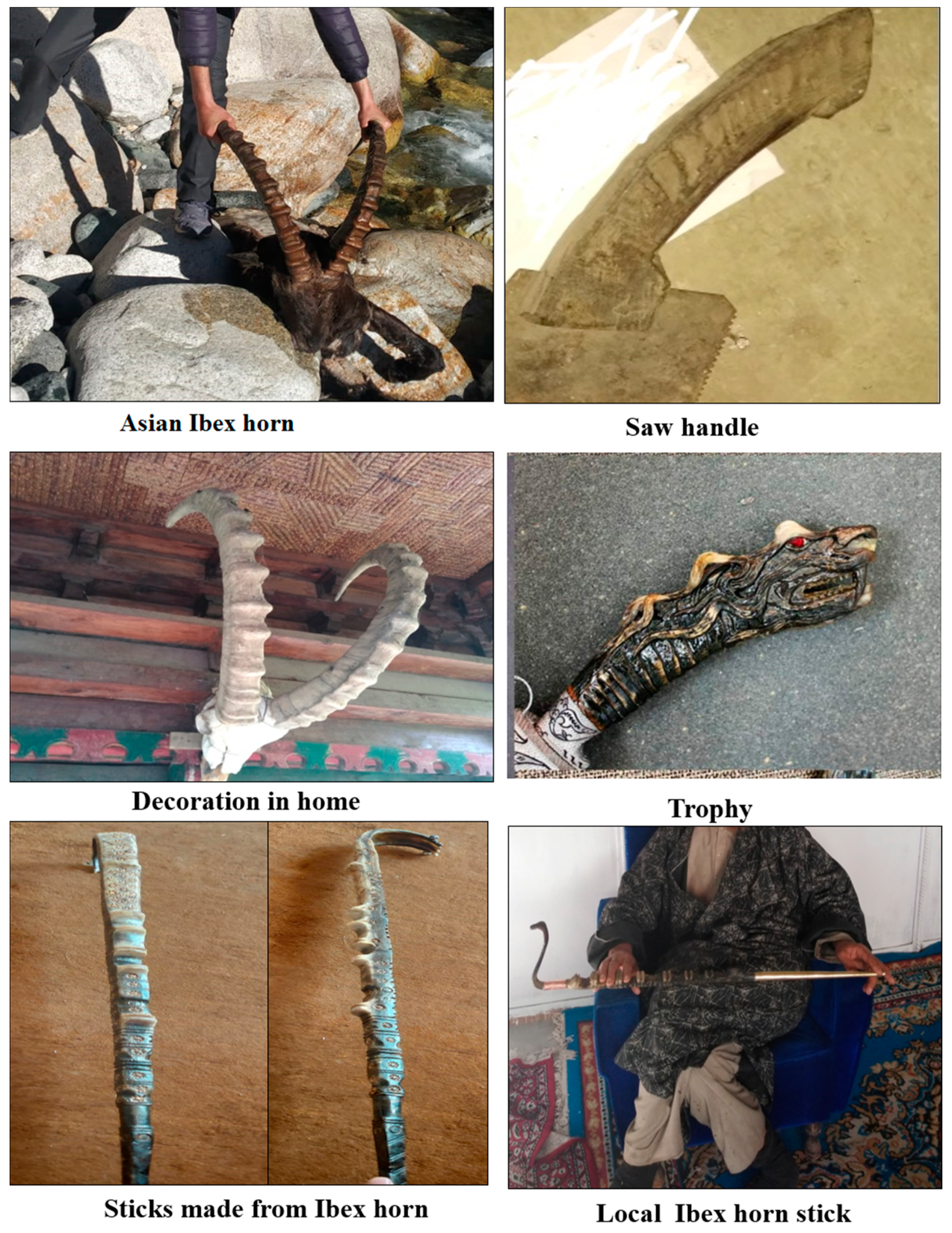 Animals 10 02317 g003