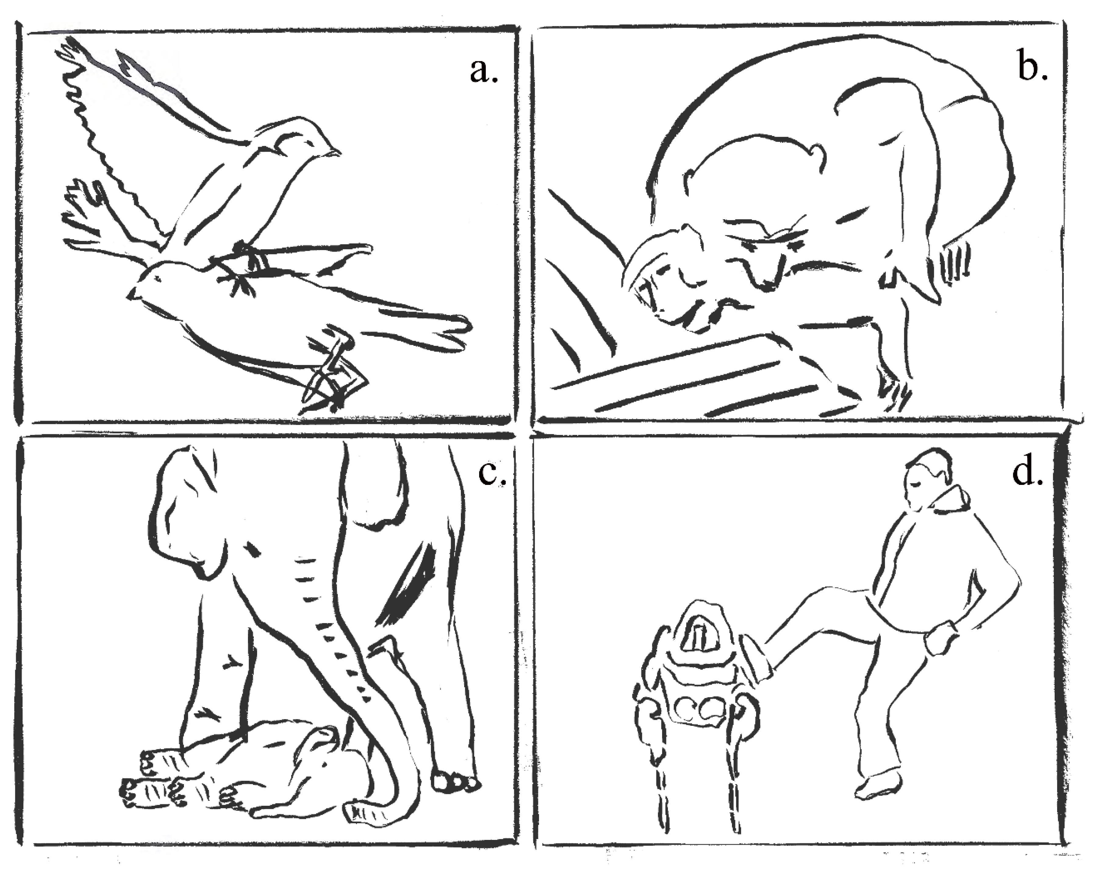 Animals 10 02323 g001