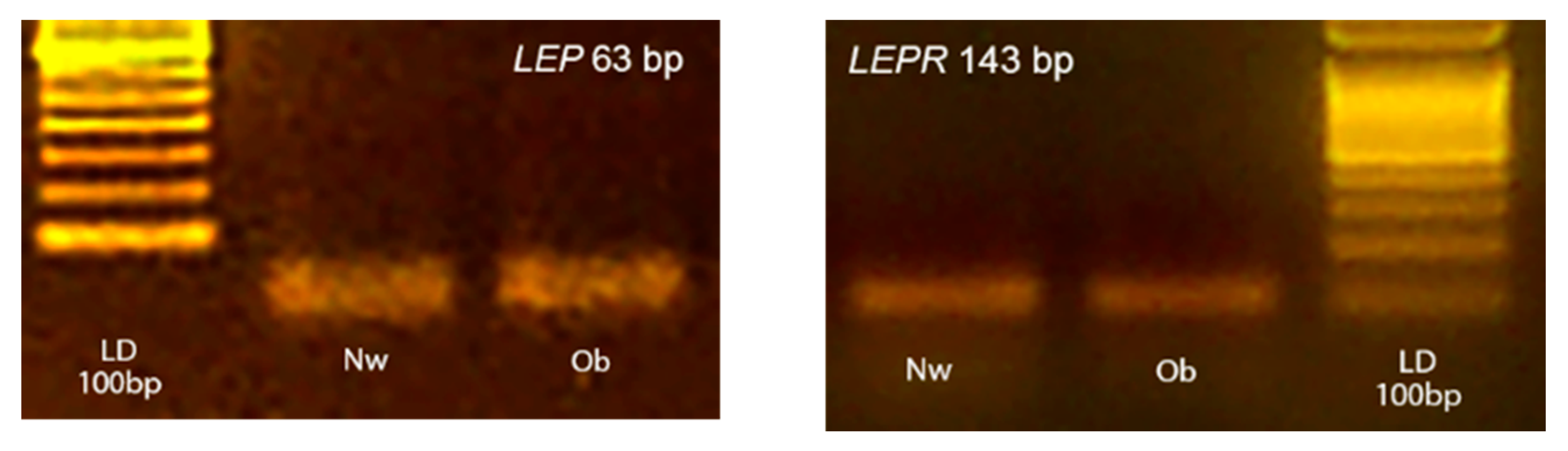 Animals 10 02338 g001