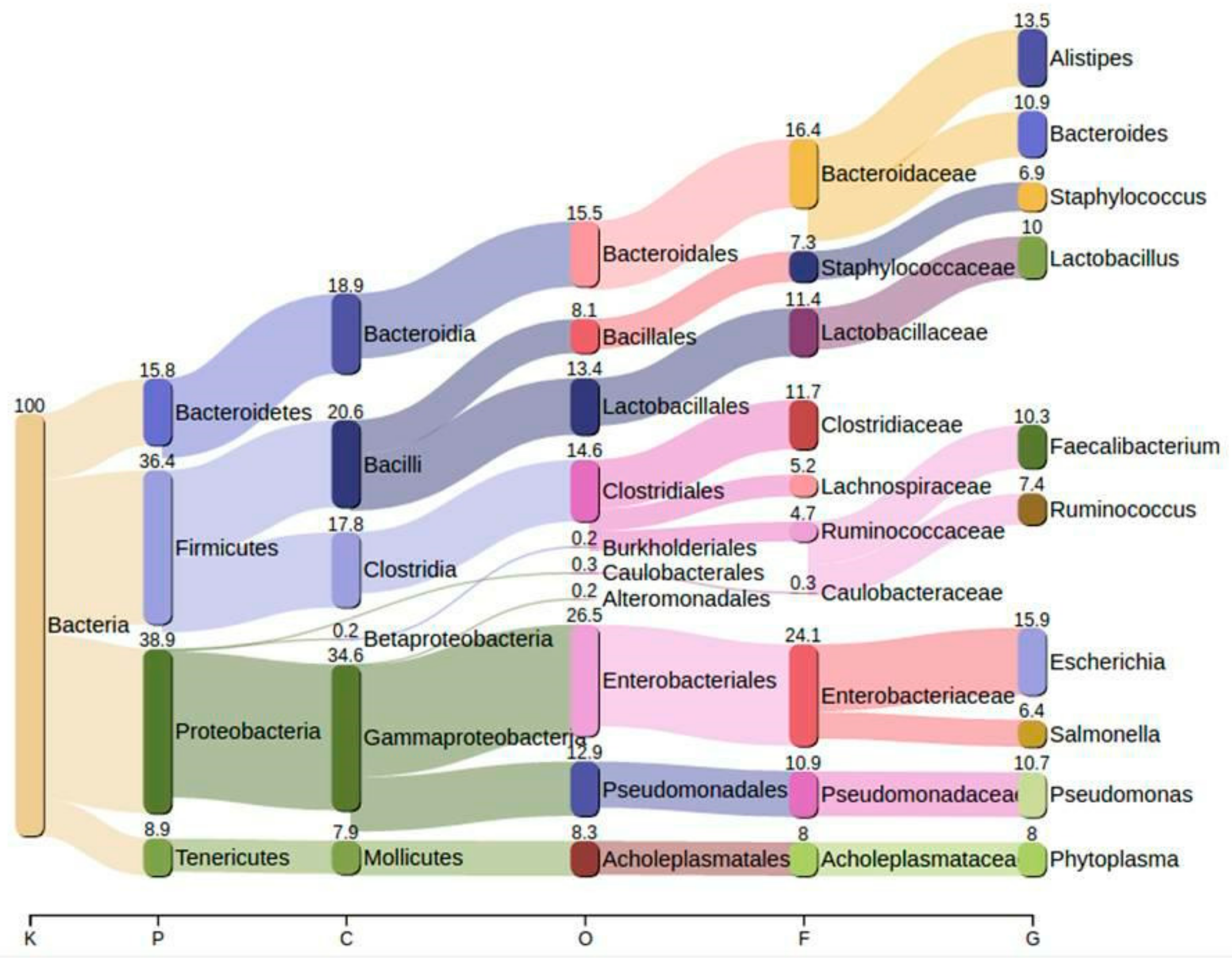 Animals 10 02350 g002