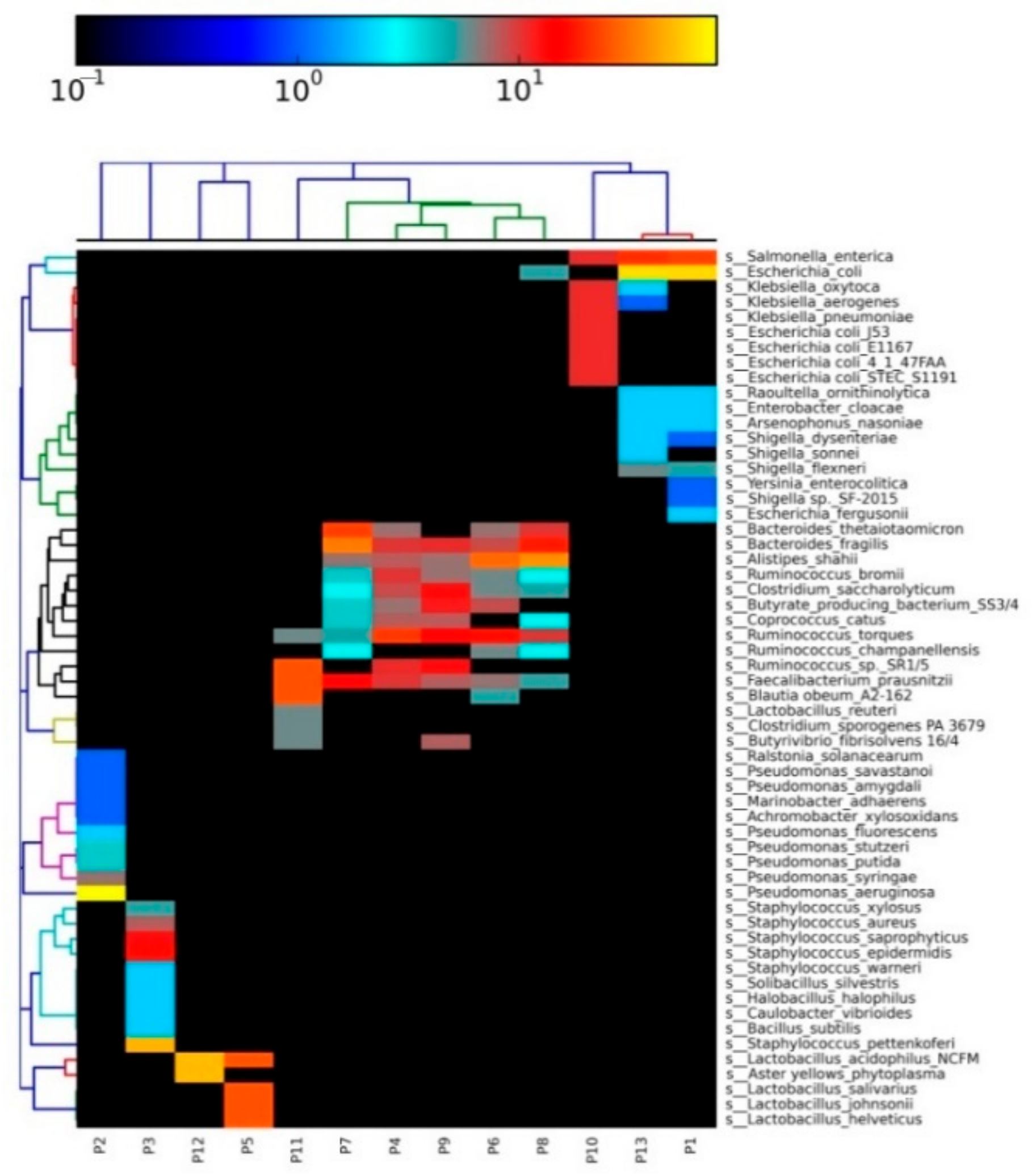 Animals 10 02350 g003