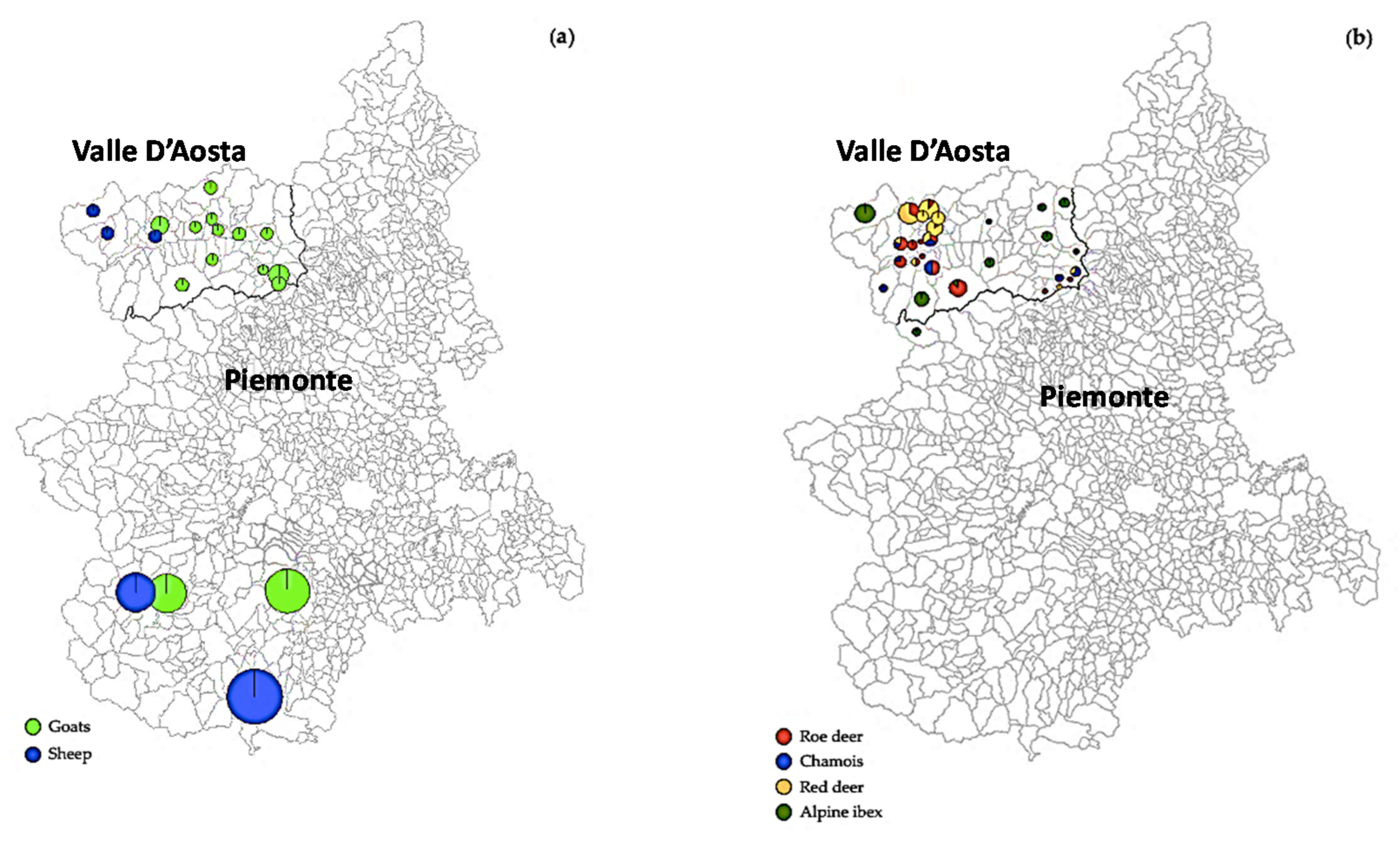 Animals 10 02351 g001