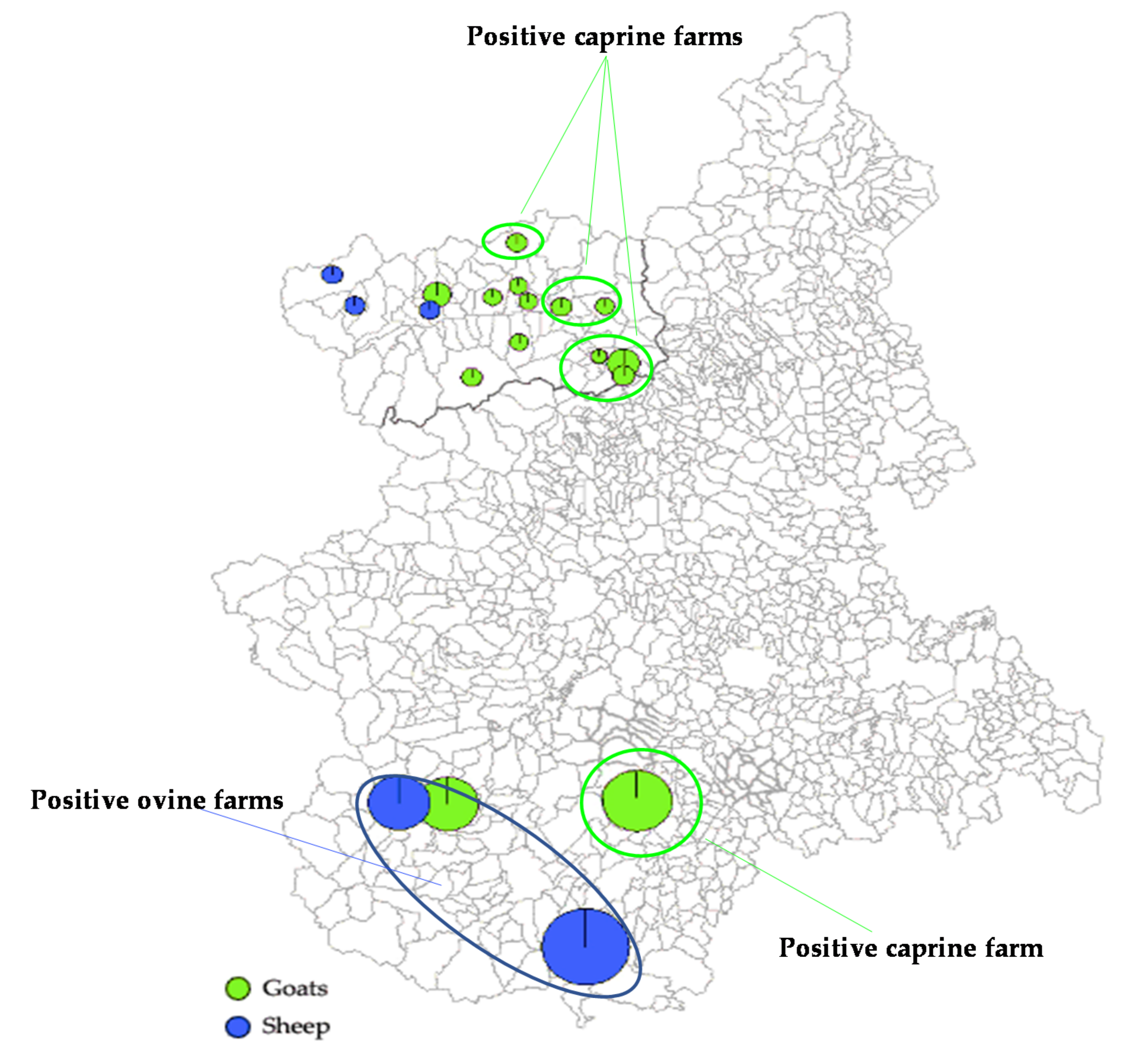 Animals 10 02351 g002