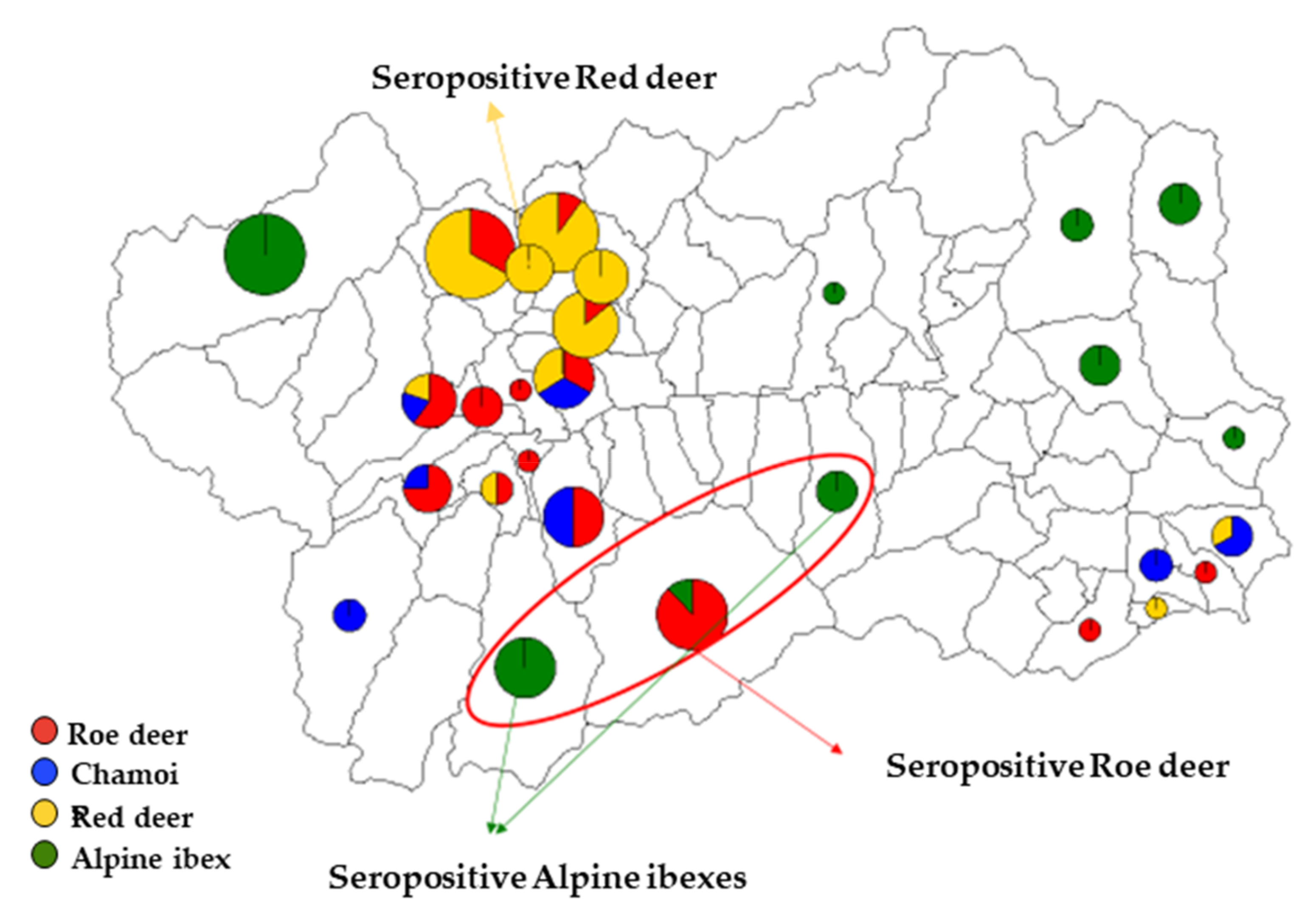 Animals 10 02351 g004