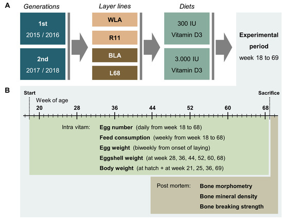 Animals 10 02355 g001 550
