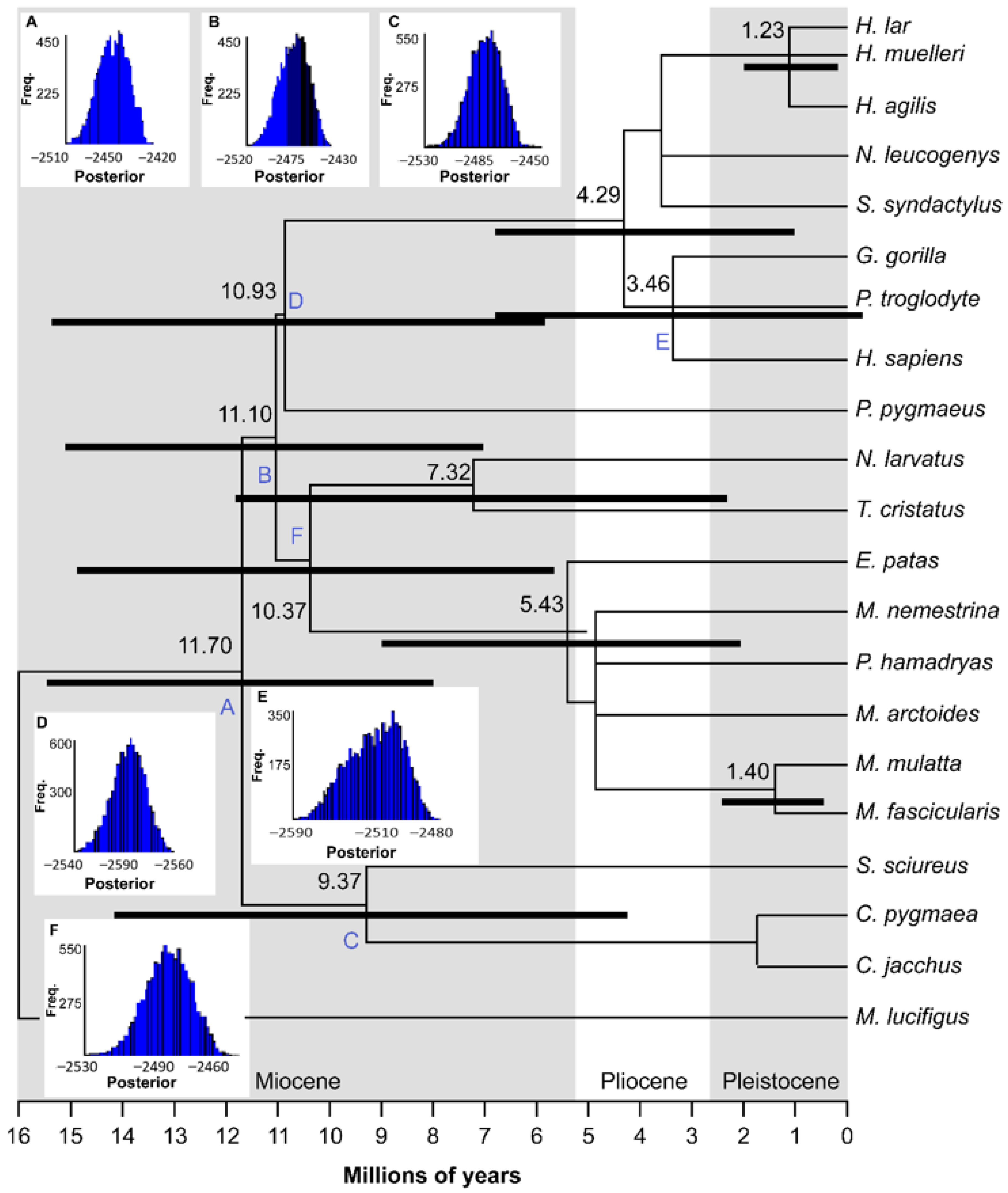 Animals 10 02359 g002