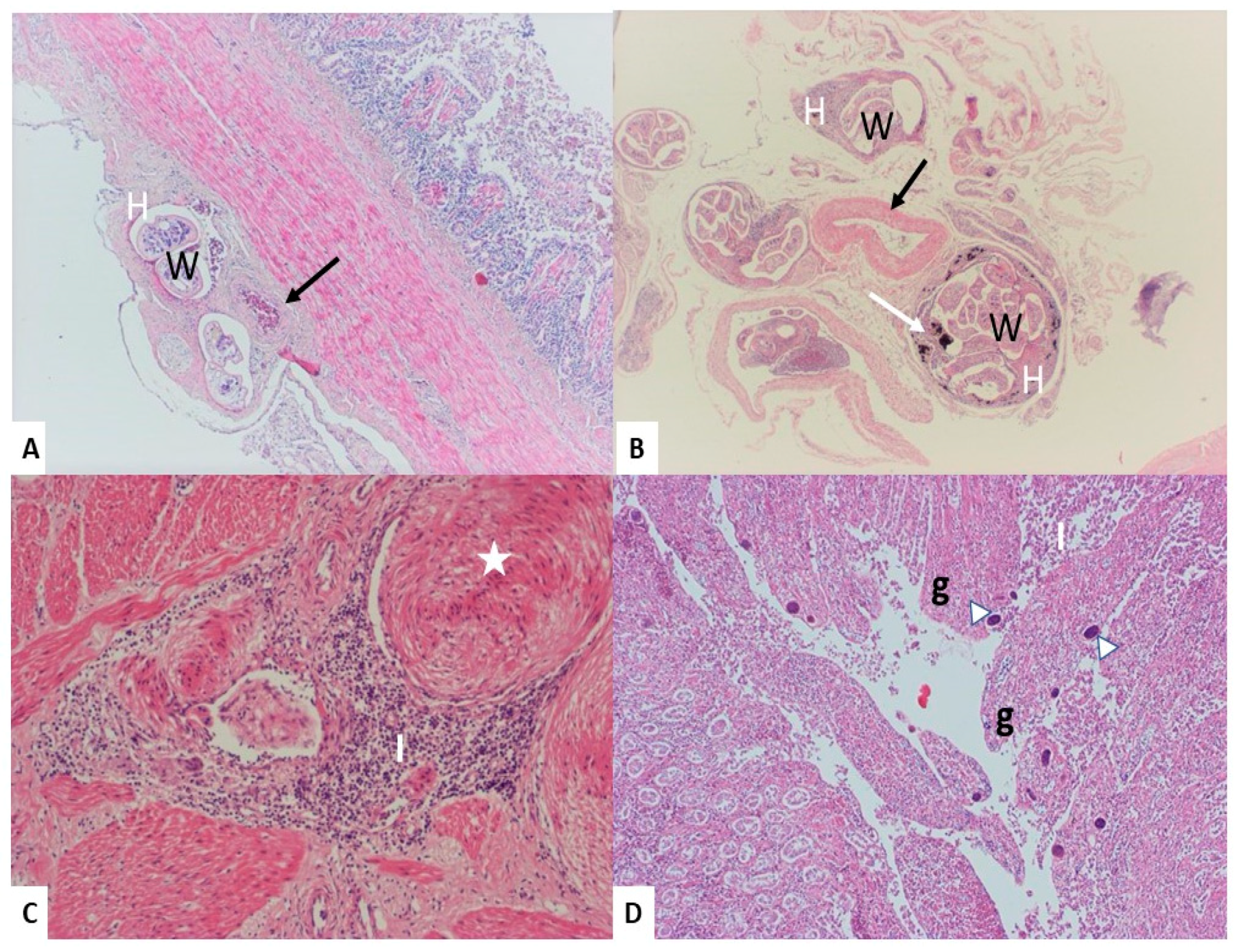 Animals 10 02361 g001