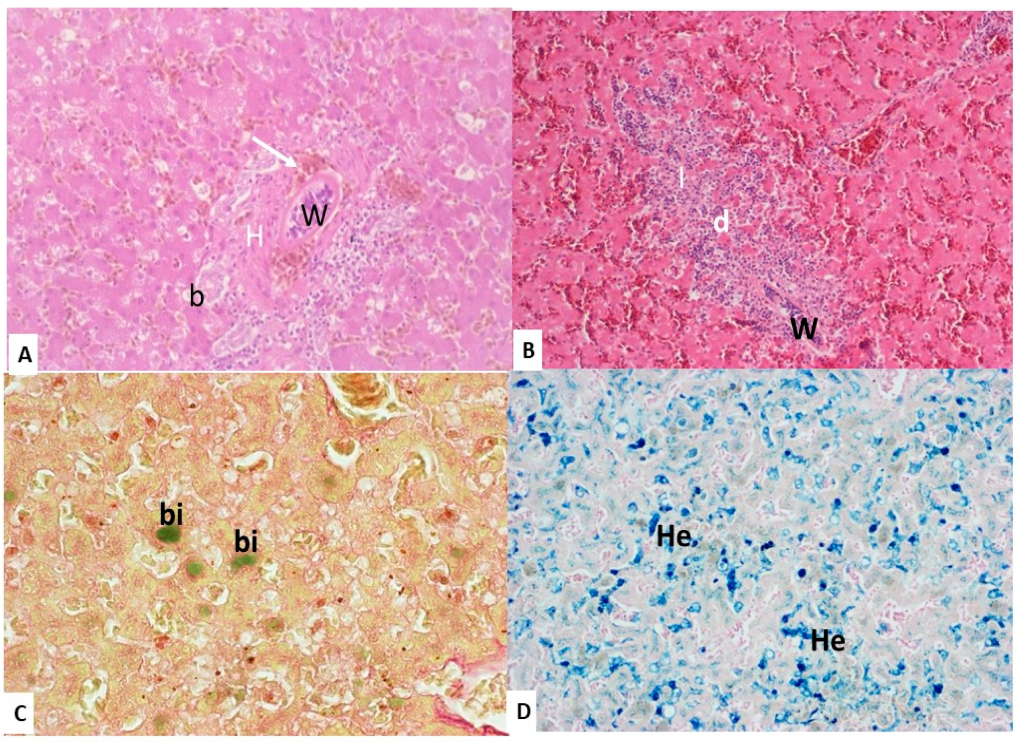 Animals 10 02361 g002